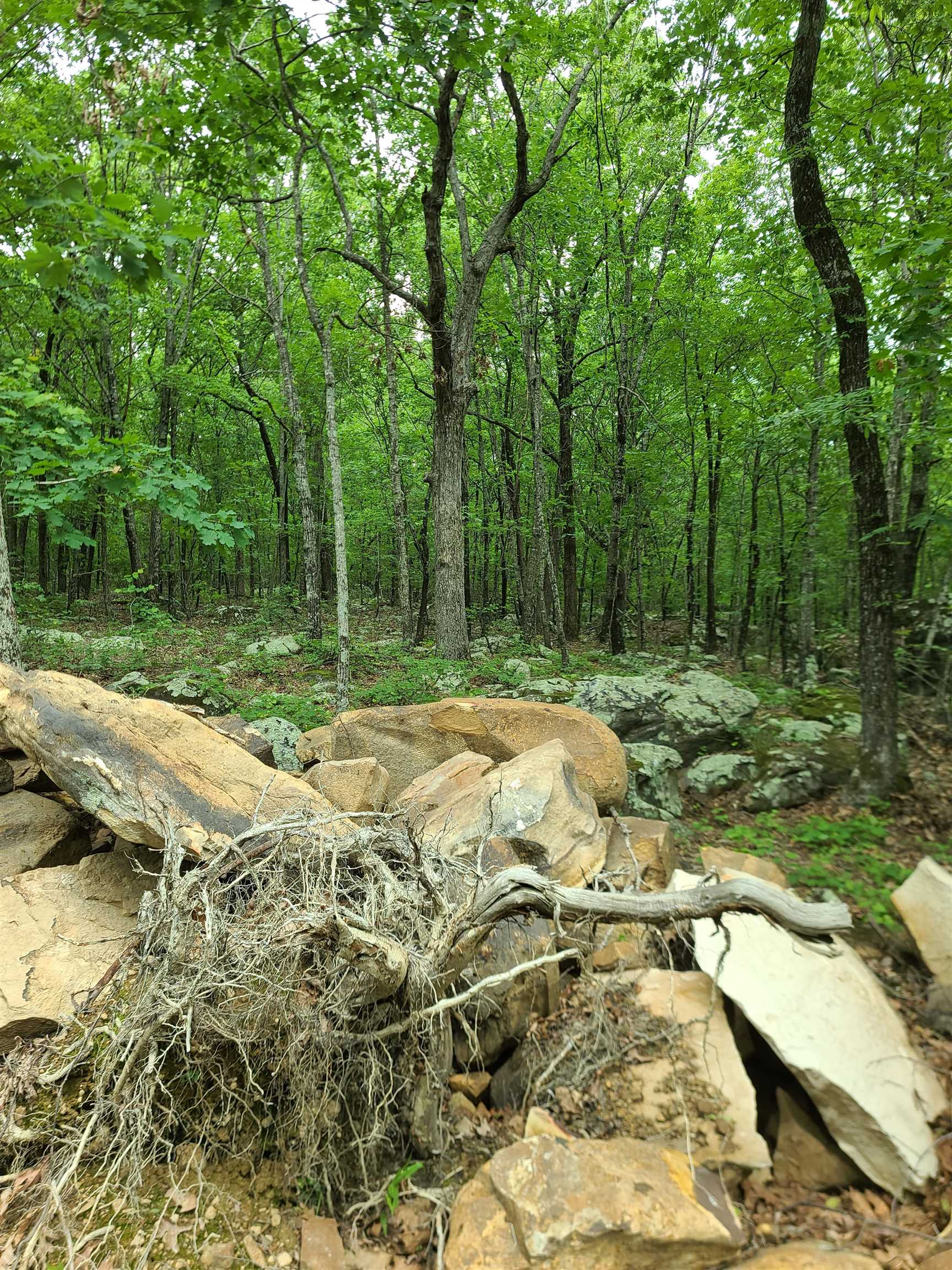 Metes & Bounds - Land