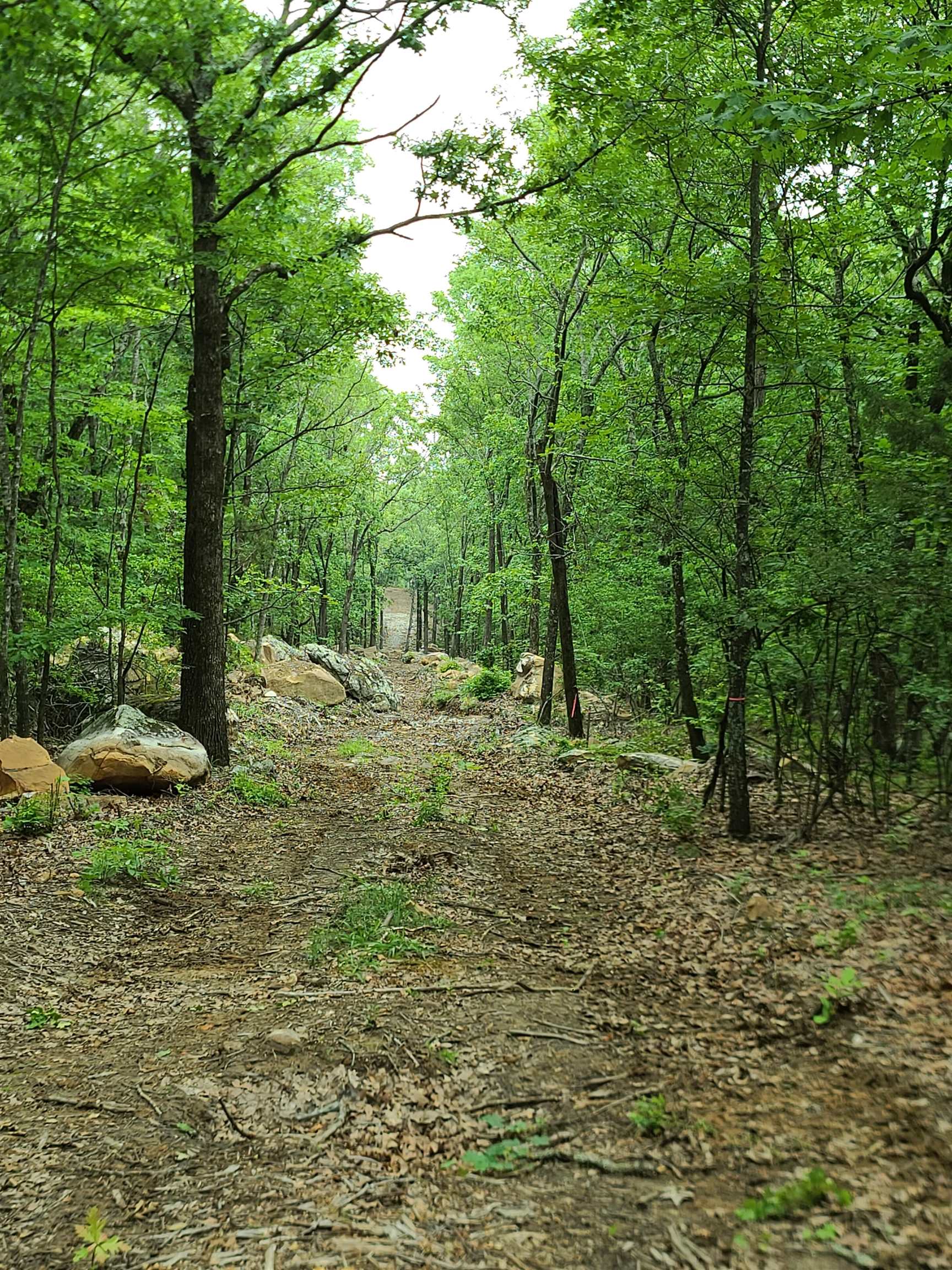 Metes & Bounds - Land