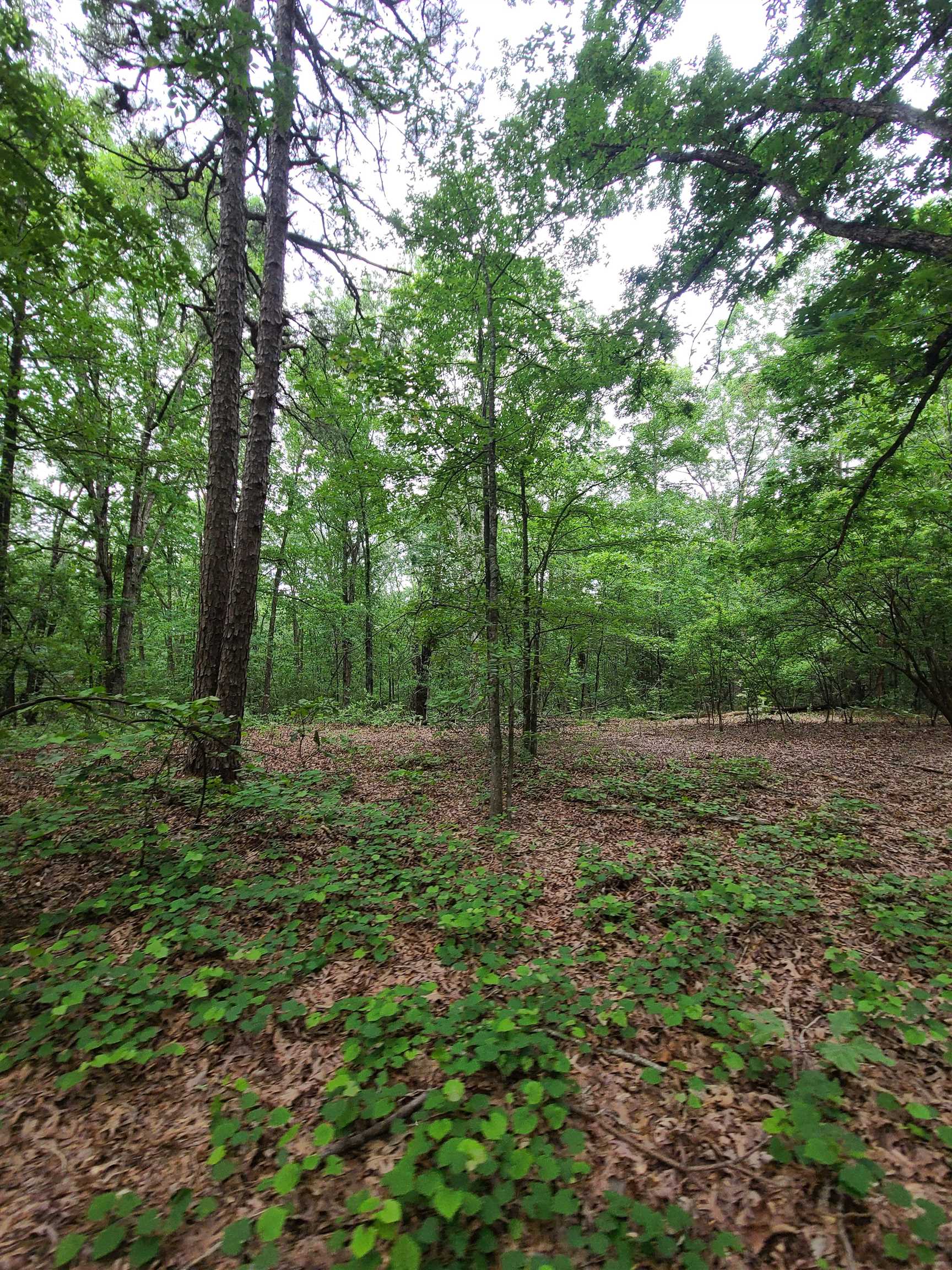 Metes & Bounds - Land