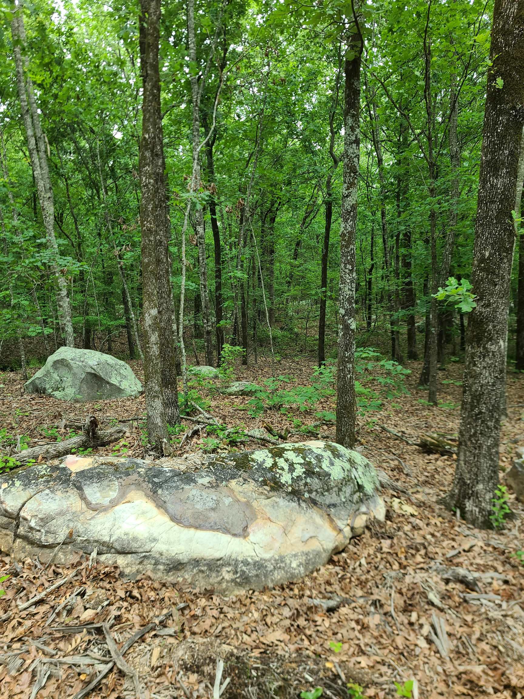 Metes & Bounds - Land