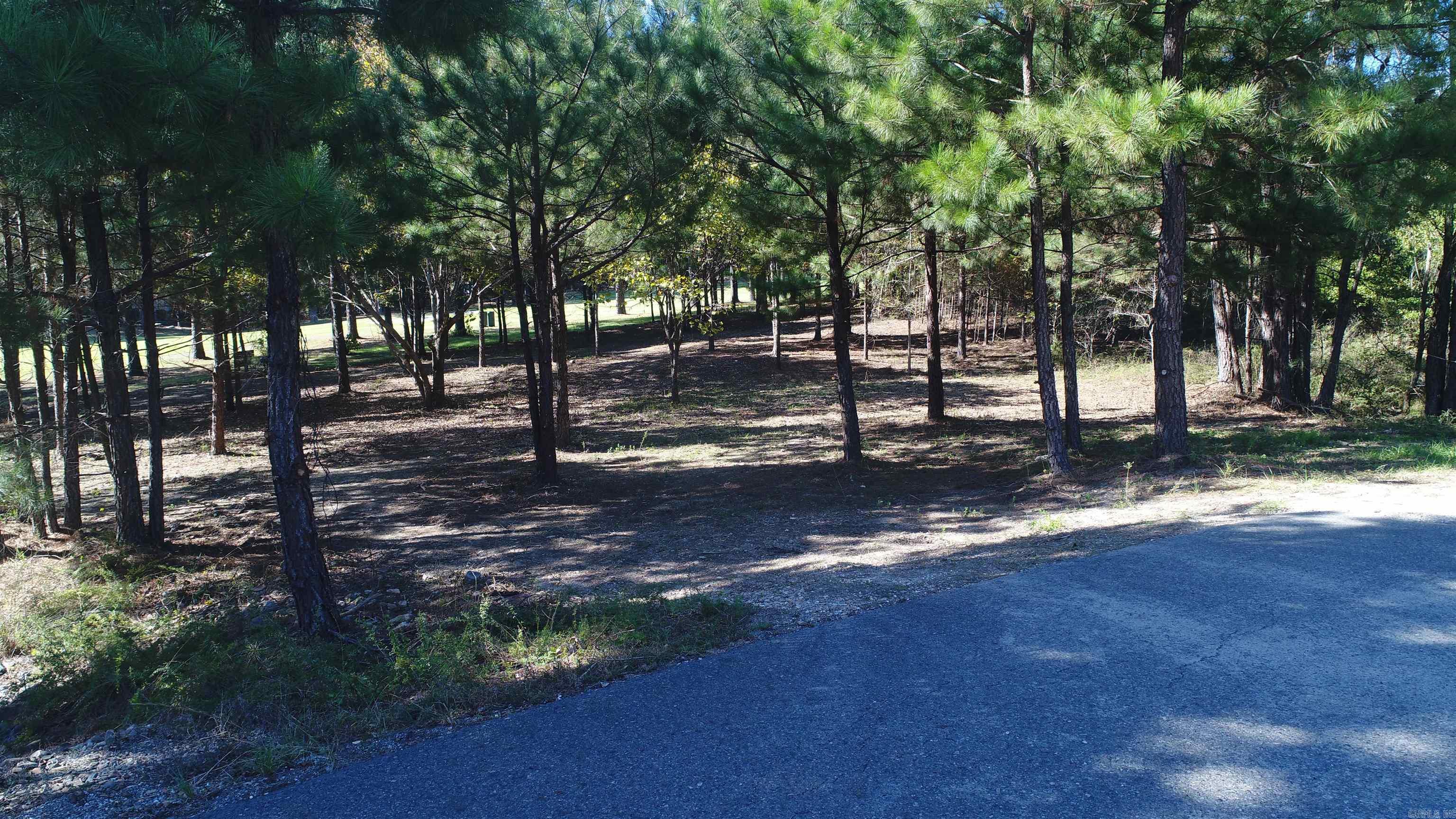 One of the last best lots in Diamante subdivision. On the 18th fairway. Over half an acre that is flat and the corners have been marked. You can walk to the pool or tennis court from here. New pickleball courts just being installed within walking distance. There is a new $300 buy in fee to new owners. This is a gold membership lot. Ask agent about dues and initiation fees.