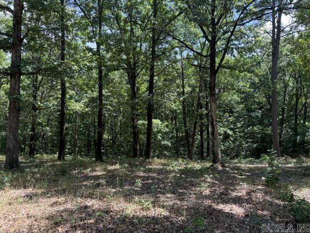Hillcrest Woods - Land