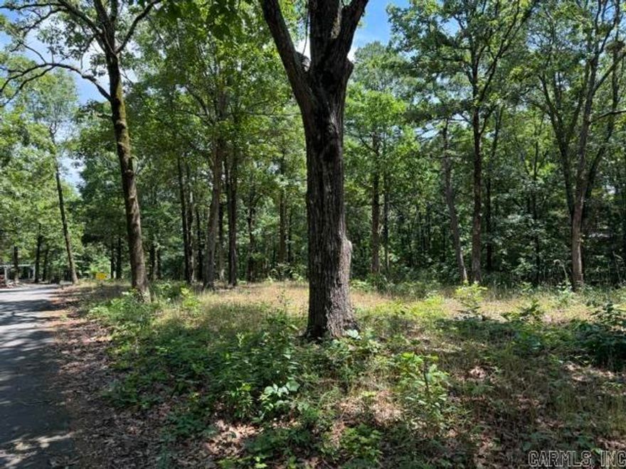 Great Lot to clear and build on.  Nice subdivision in Heber Springs away from traffic.