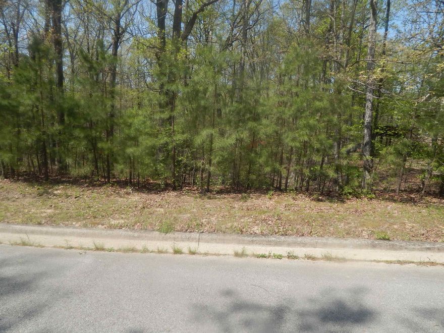 LOT FOR RESIDENTAL BUILDING IN ESTABLISHED SUB DIVISION.