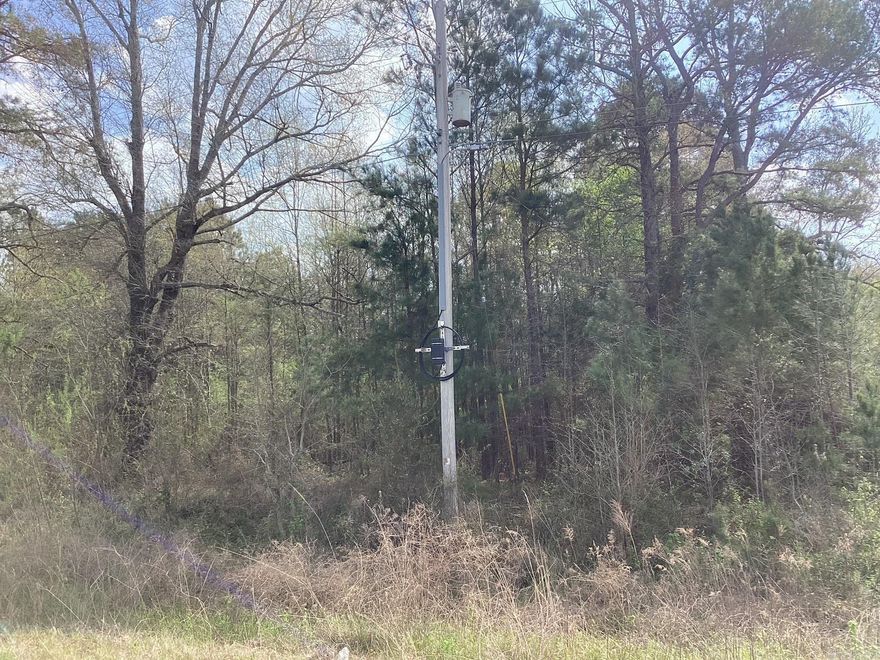 Discover the perfect blend of convenience and country living with this beautiful 2-acre property located right off a paved state highway. With water and electricity already available, this land is ready for your dream home, mobile home, or investment project. Just 12–13 minutes from Walmart, you’ll have quick access to shopping, groceries, and everyday essentials while still enjoying the peace and privacy of rural living.