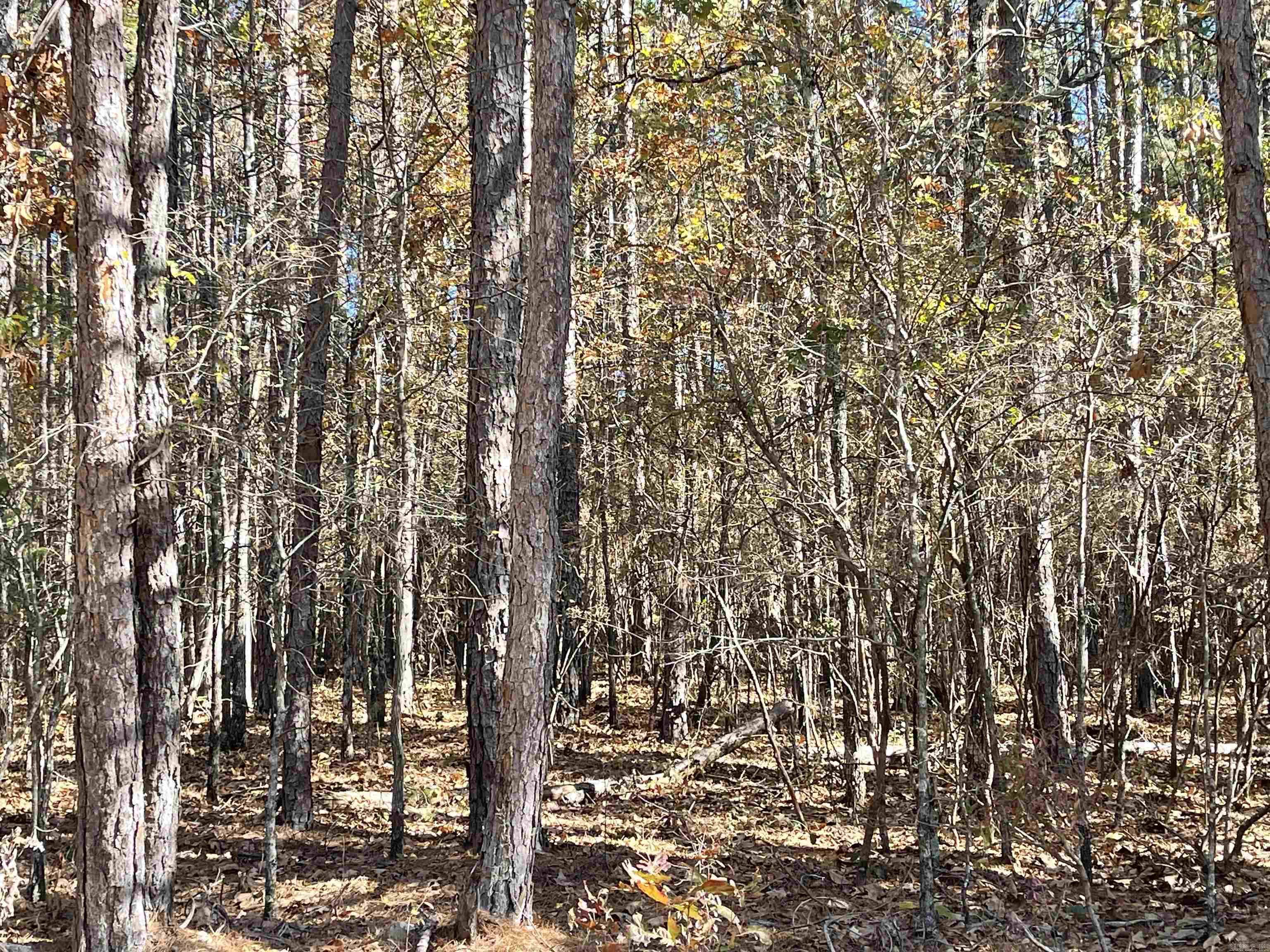 Mountain Ranch - Land