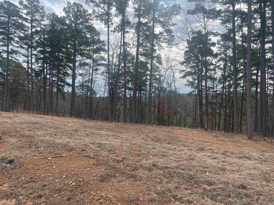 Gorgeous North facing (amazing view to the South) 1ac lot with large trees and gentle slope. New neighborhood with beautiful homes all around. In Conway city limits with all Conway Corp except sewer (pre-perc completed). 2800 min construction.