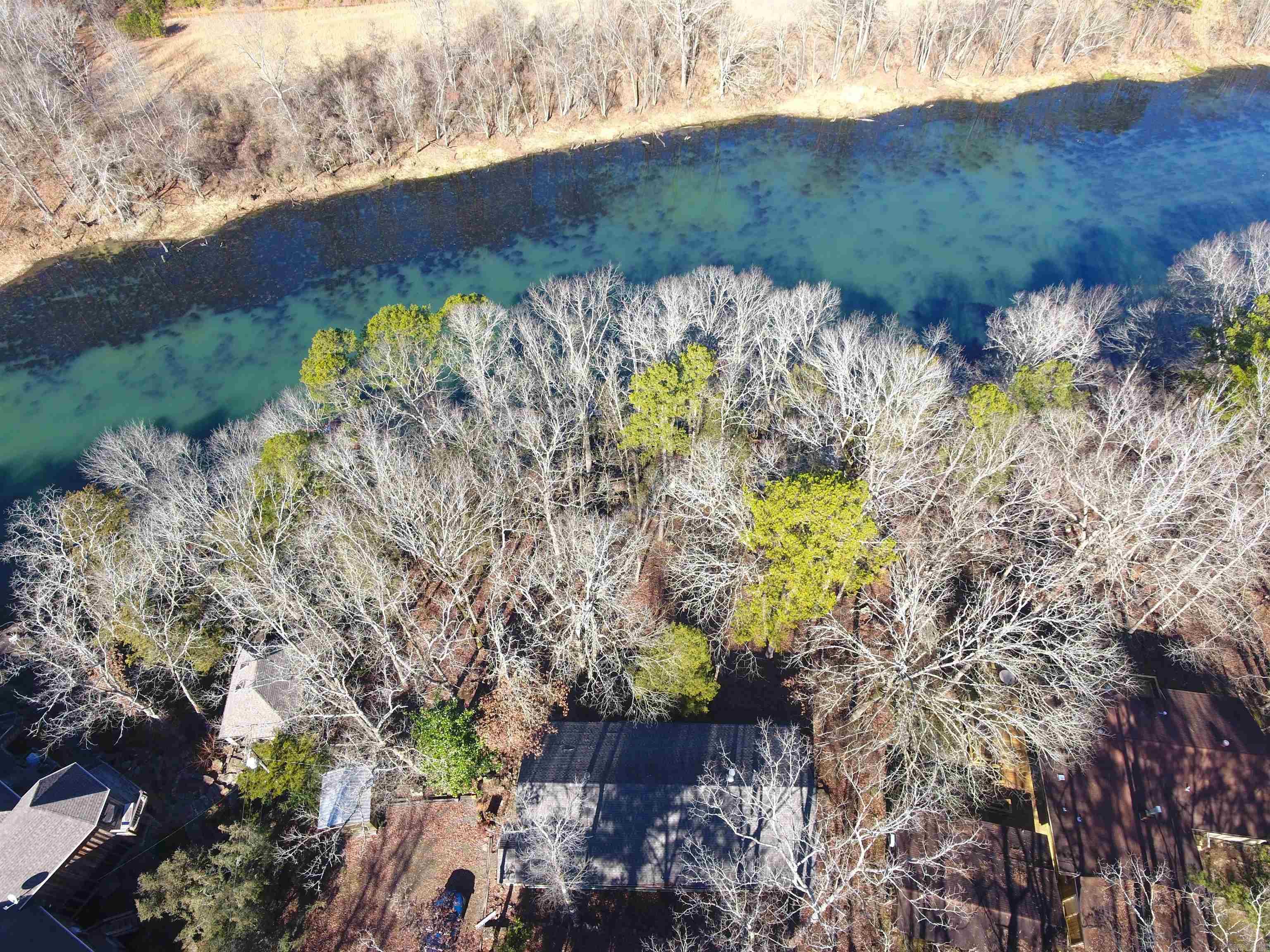 REDWOOD FOREST - Residential