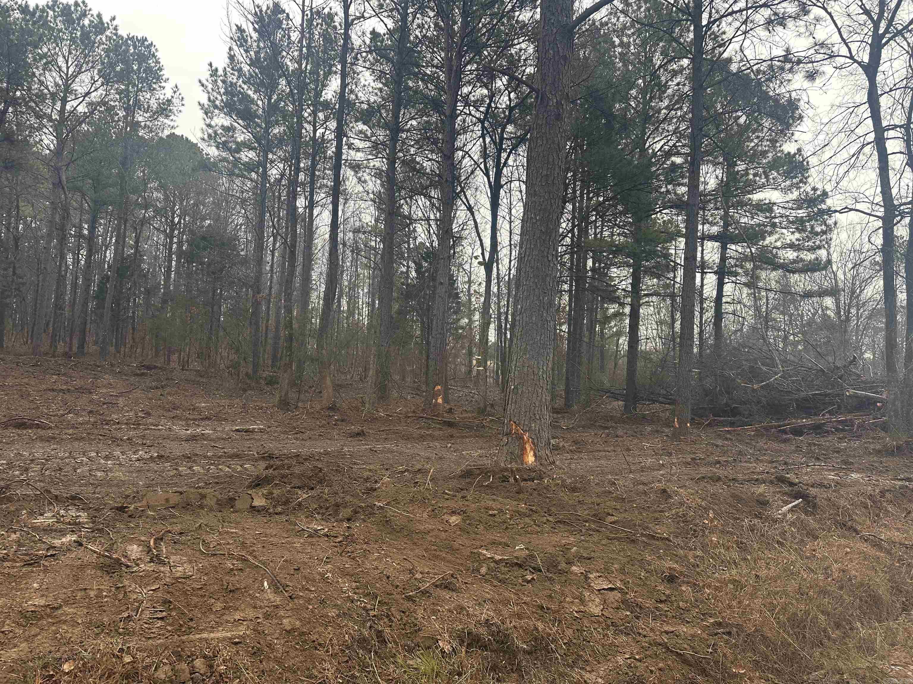 Looking for small acreage, nice wooded homesite with Bob Hall Road frontage and utilities nearby. Owner financing with 20% down. Tract D