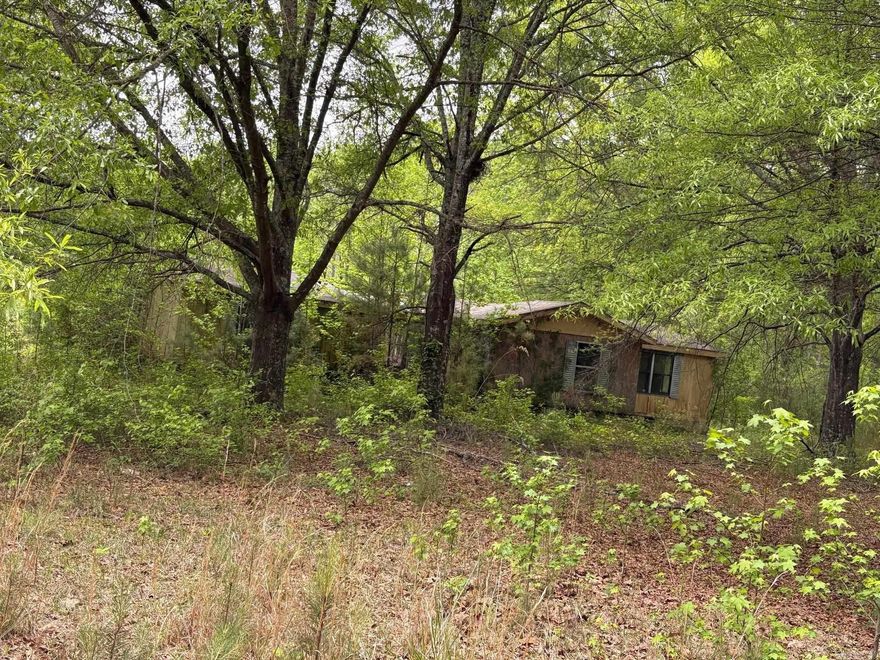 A corner lot, utilities and drive but overgrown.  Mobile home is not livable and has no value.