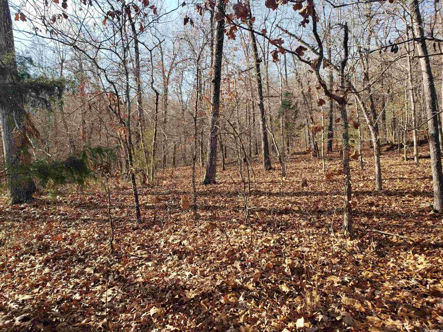 Two failrly level lots side by side give you over a 1/2 an acre of secluded property within cart distance to the South Golf Course. Secluded but yet out to the four lane in minutes for shopping, dining and entertainment. Come check out the best place to build your new home. Enjoy the shade of large hardwoods and the smell of the cedars. Cherokee Village has Two 18-hole golf courses and 7 wonderful lakes to enjoy your summers on. Dont forget the beautiful Southfork River runs through the Village as well.