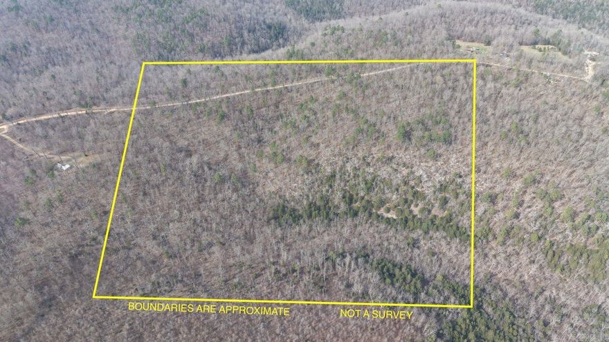 40 acres of beautiful raw timberland with county road frontage on a quiet dead-end road. Electric available at the road. This unrestricted property offers endless possibilities—ideal for hunting, recreation, or future development. Abundant wildlife makes it a perfect outdoor retreat. Secluded yet accessible, this is your chance to own a versatile piece of land with great potential.