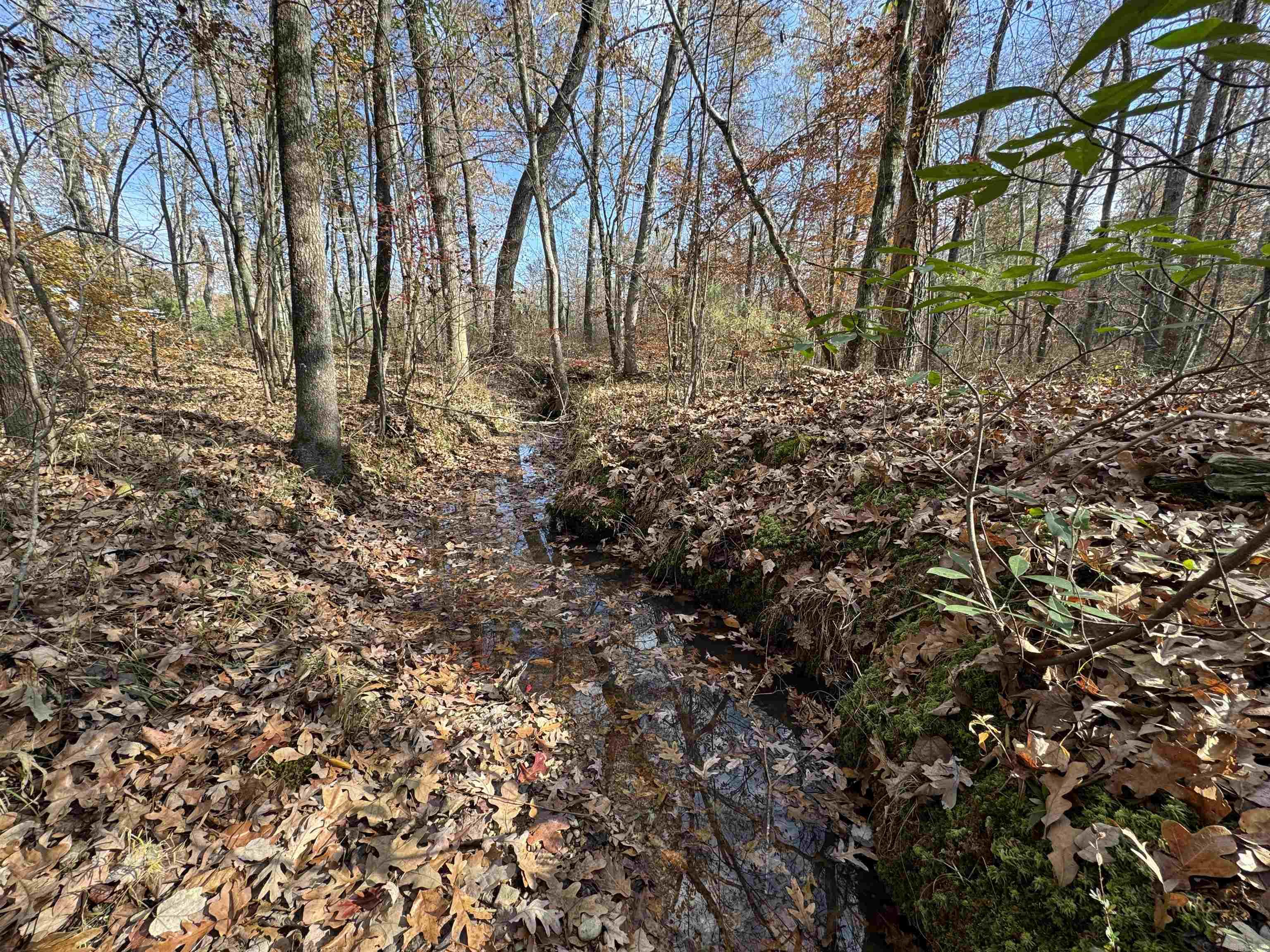 Metes & Bounds - Land