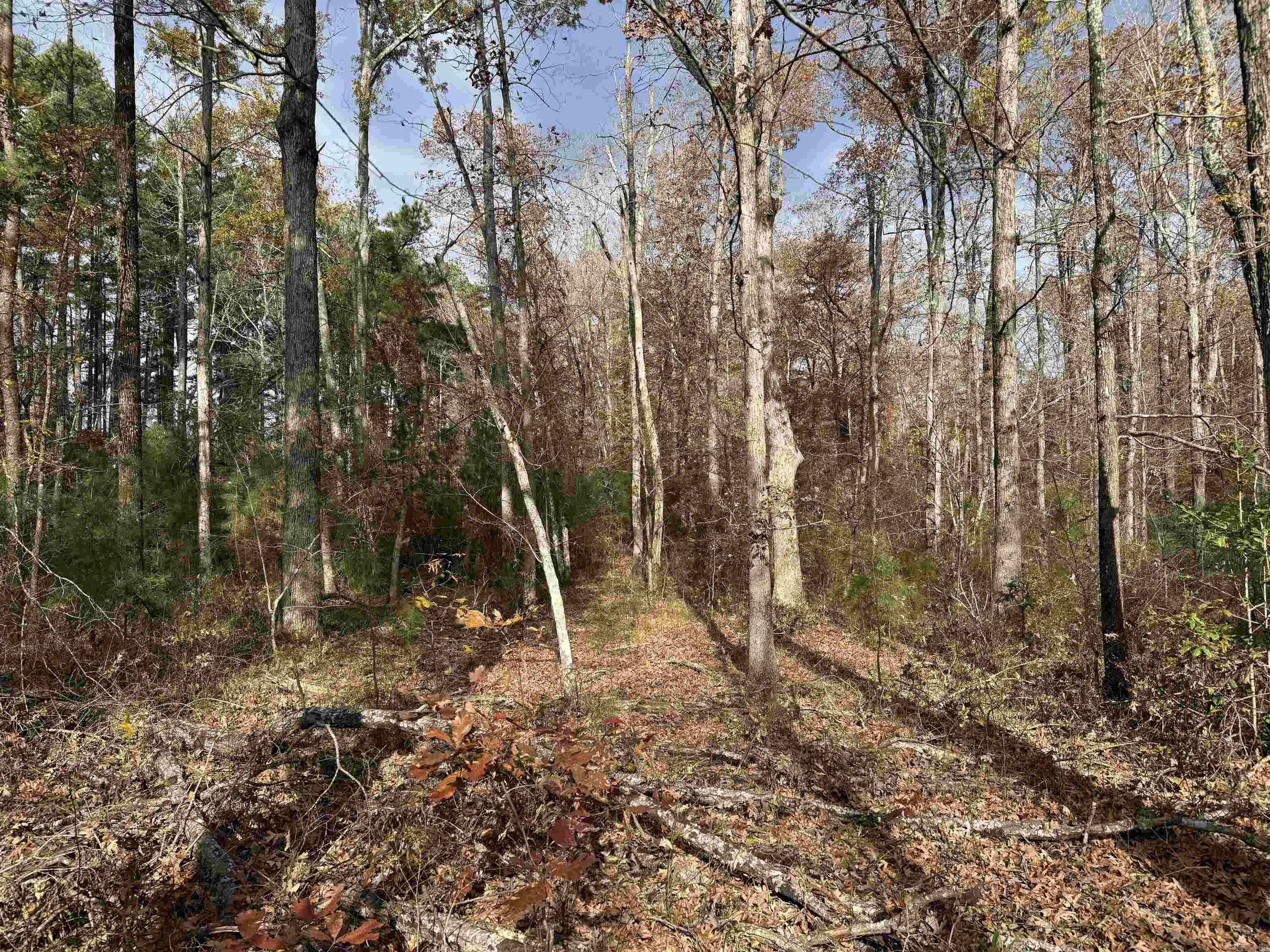 Metes & Bounds - Land