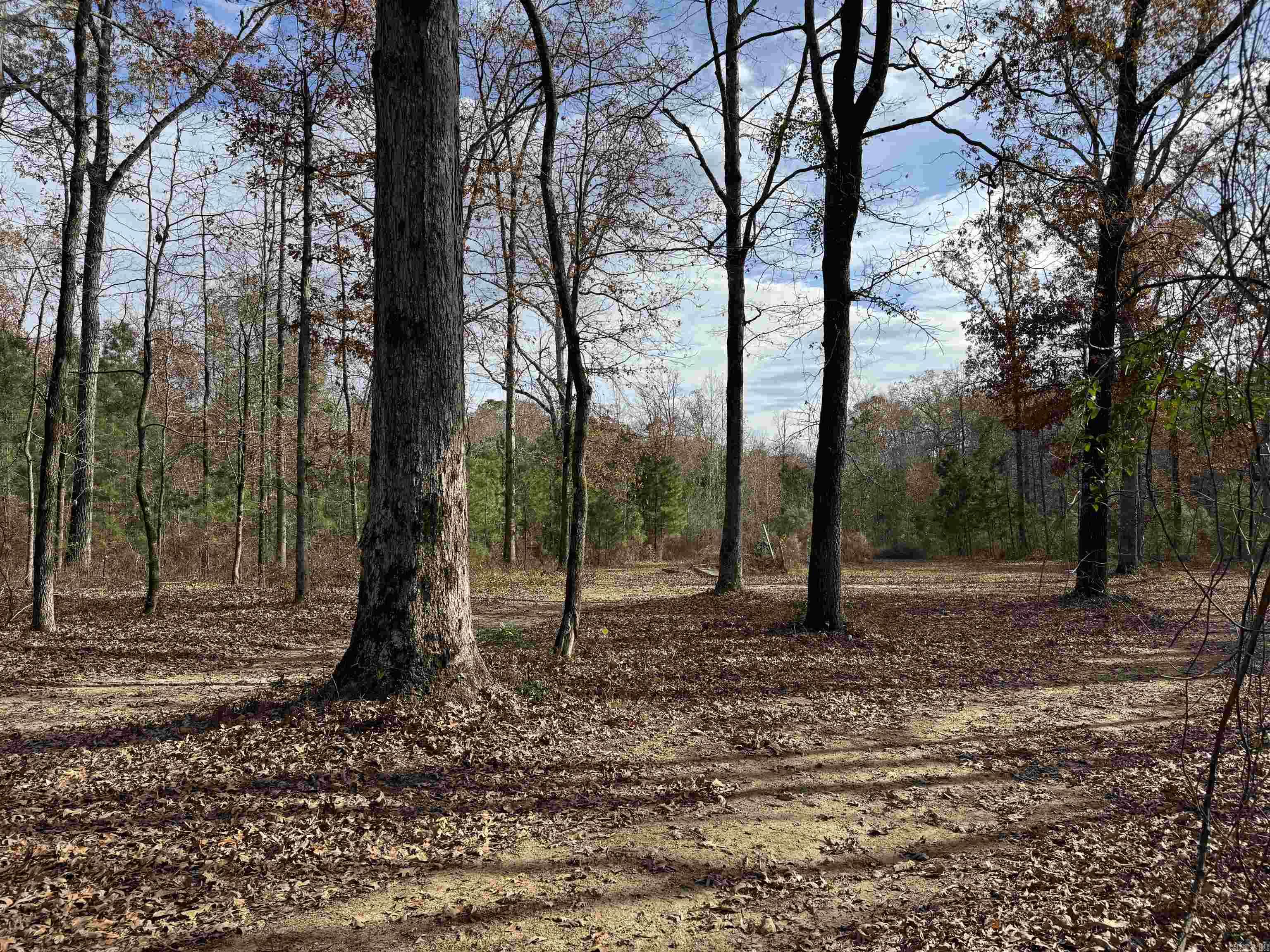 Metes & Bounds - Land