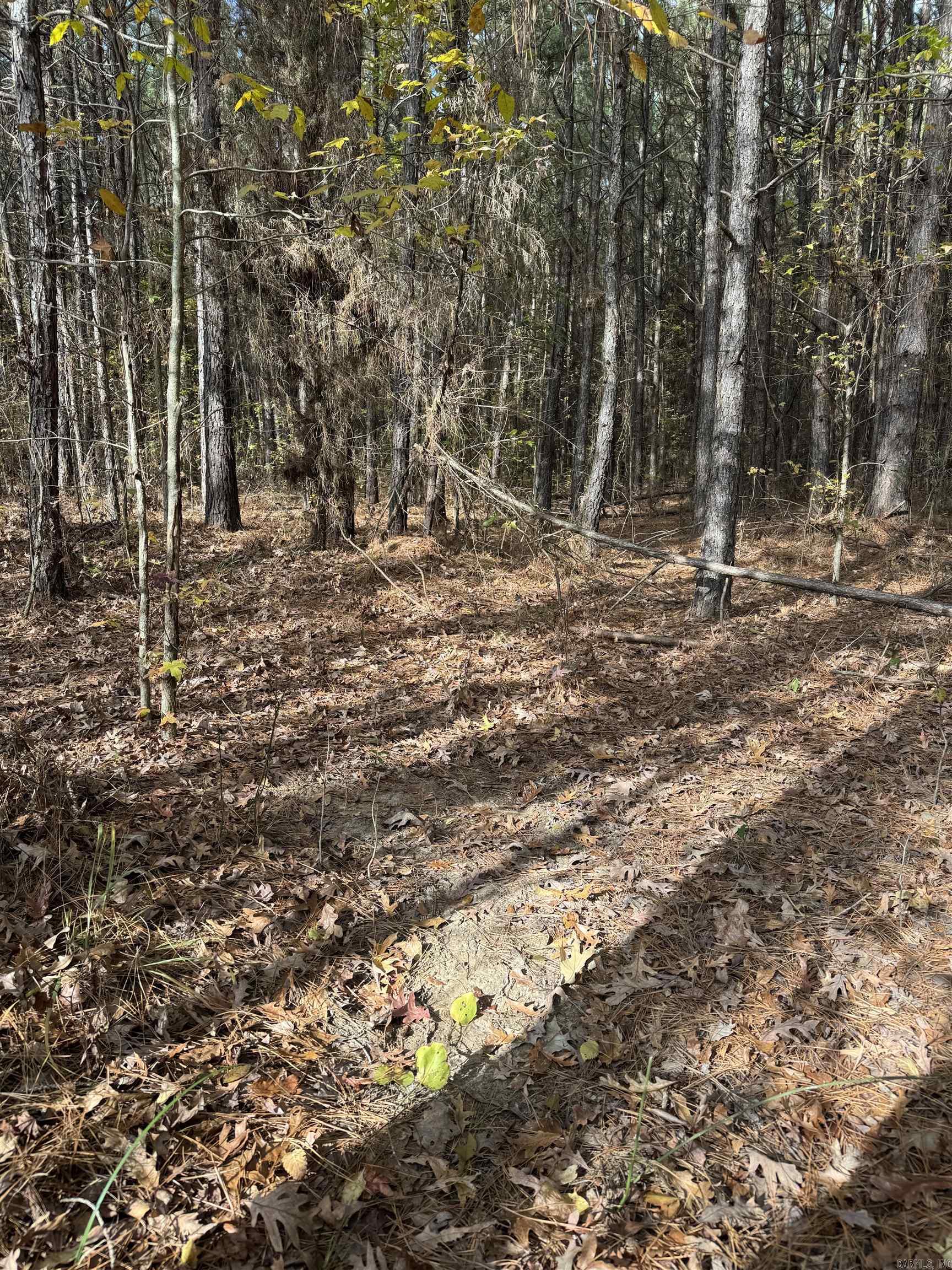 Metes & Bounds - Land