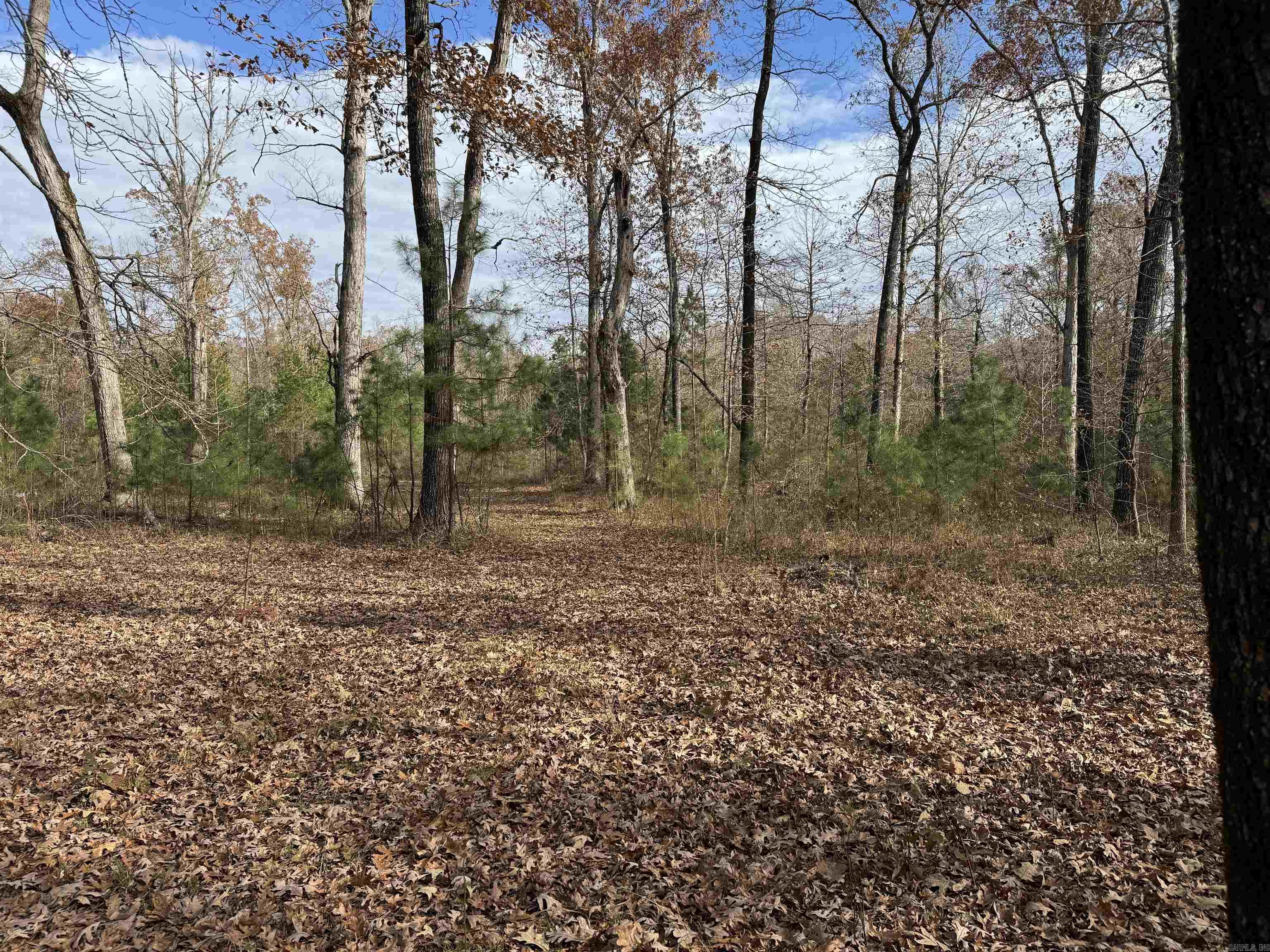 Metes & Bounds - Land