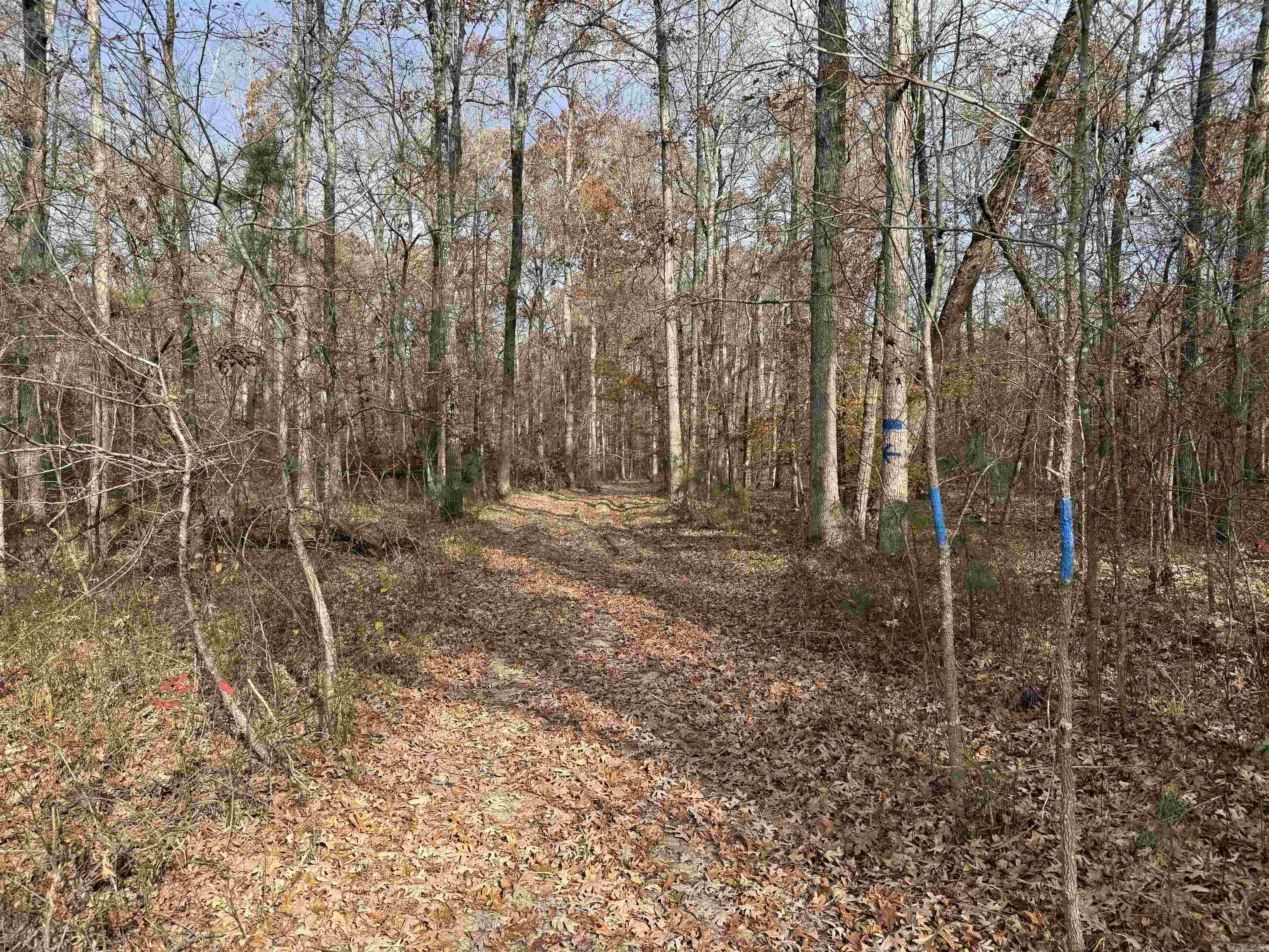 Metes & Bounds - Land