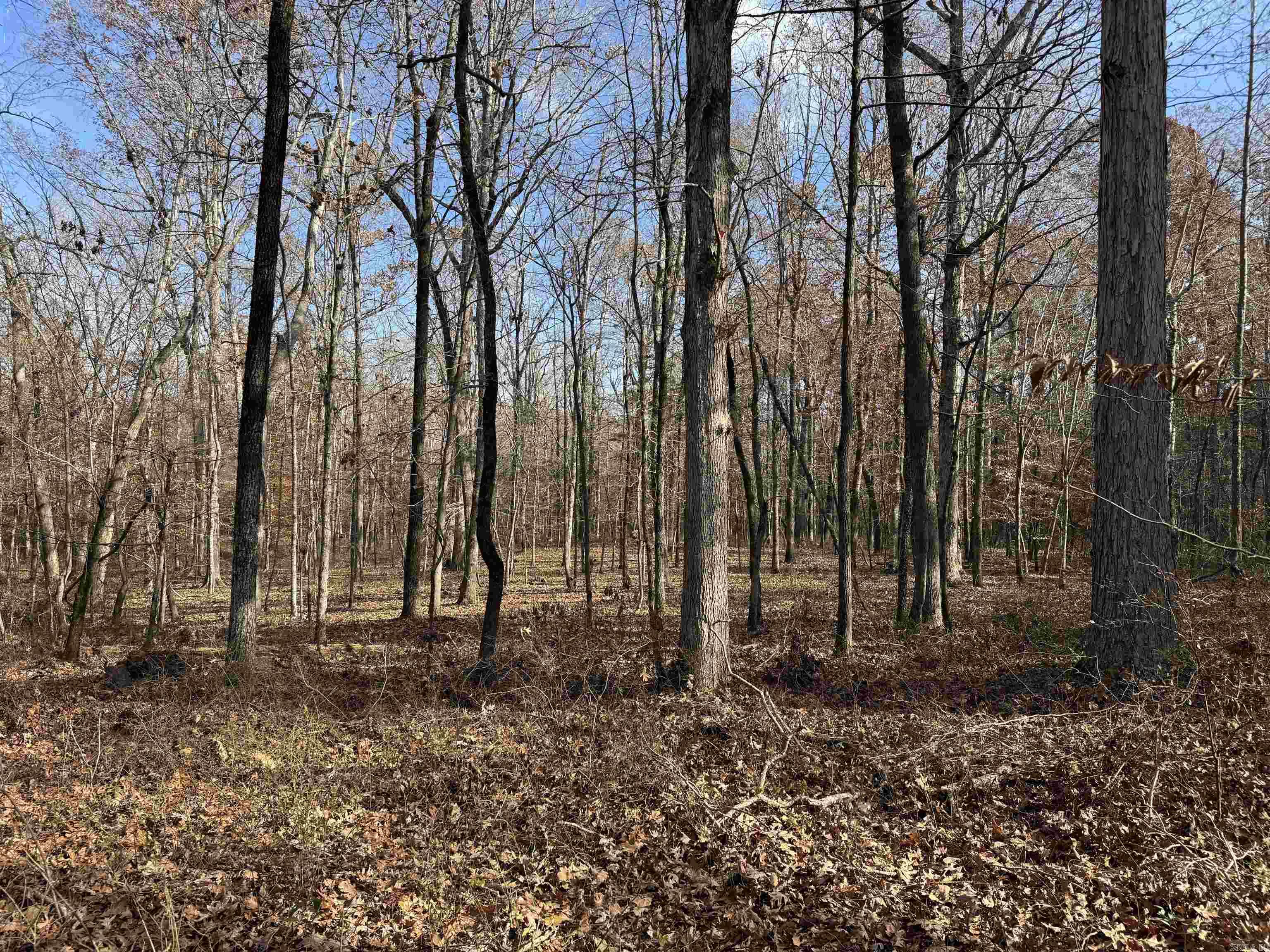 Metes & Bounds - Land