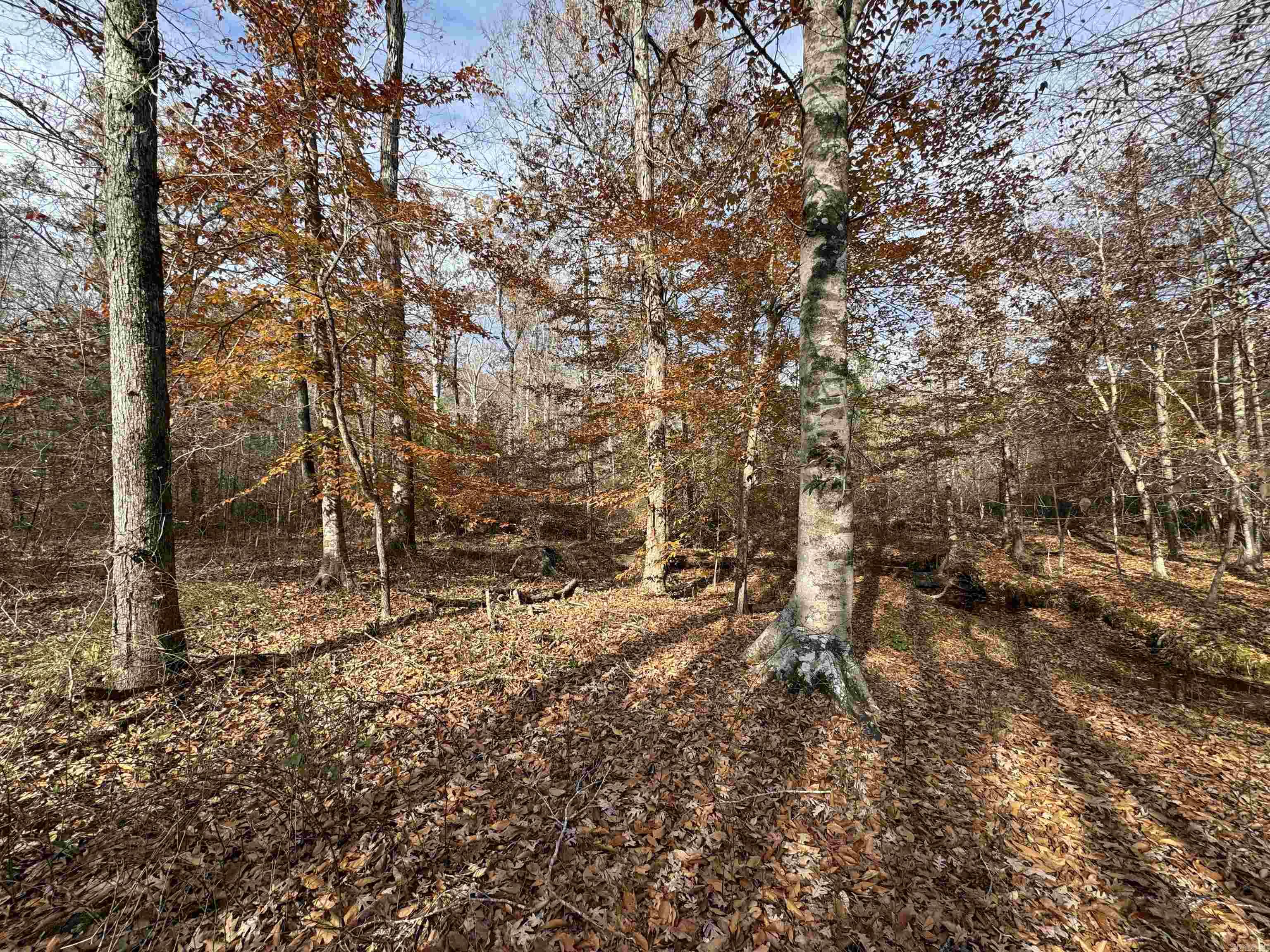 Metes & Bounds - Land