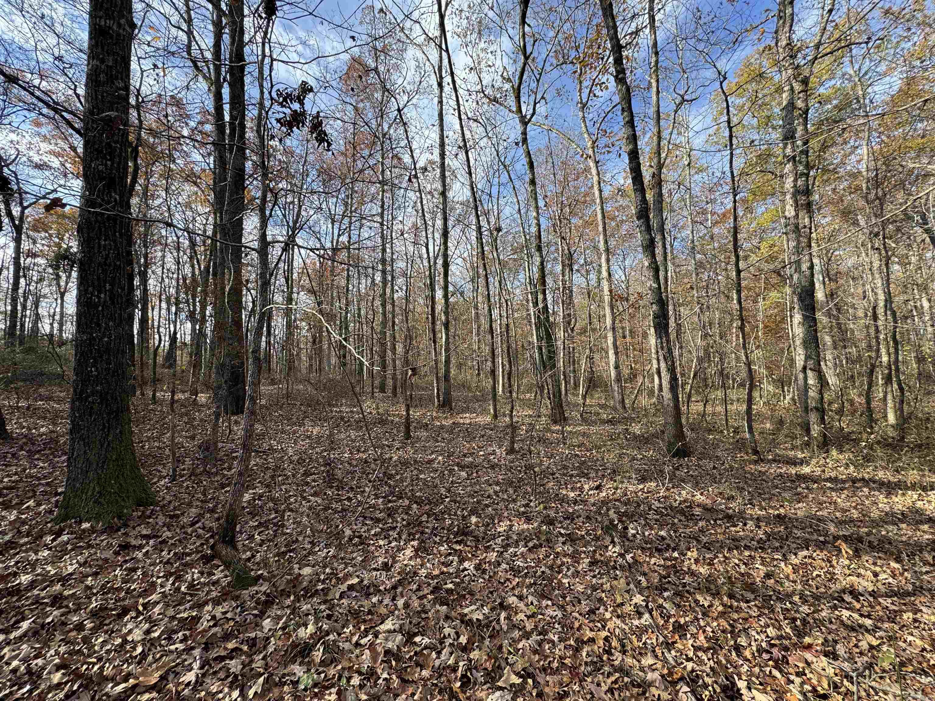 Metes & Bounds - Land