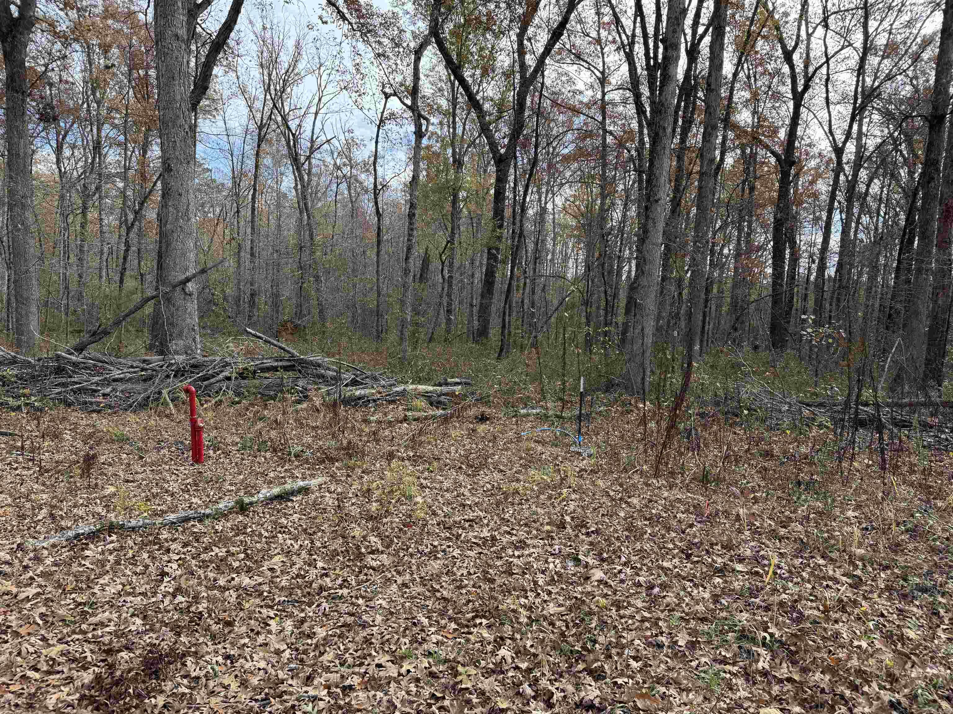 Metes & Bounds - Land