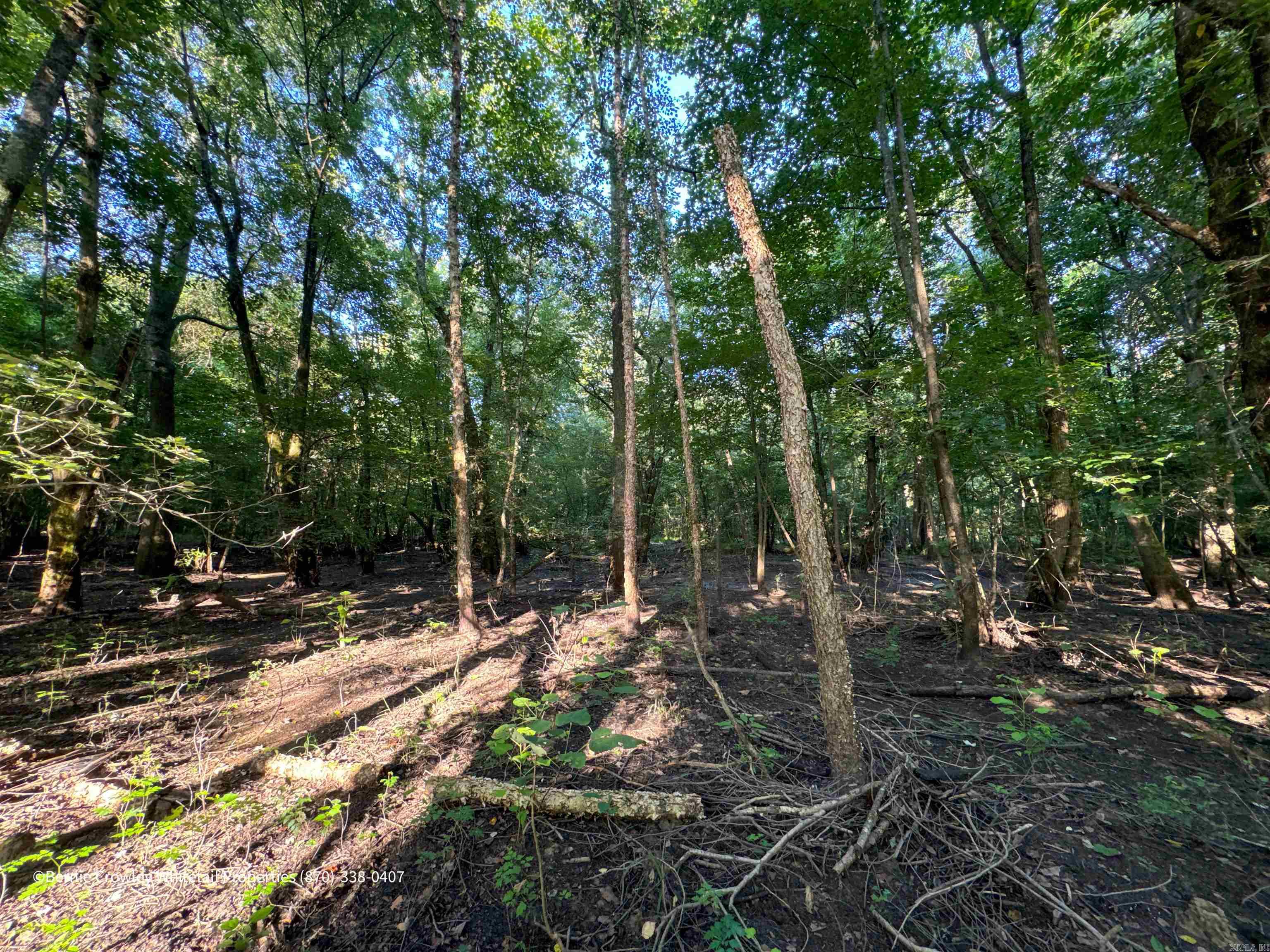 Metes & Bounds - Land