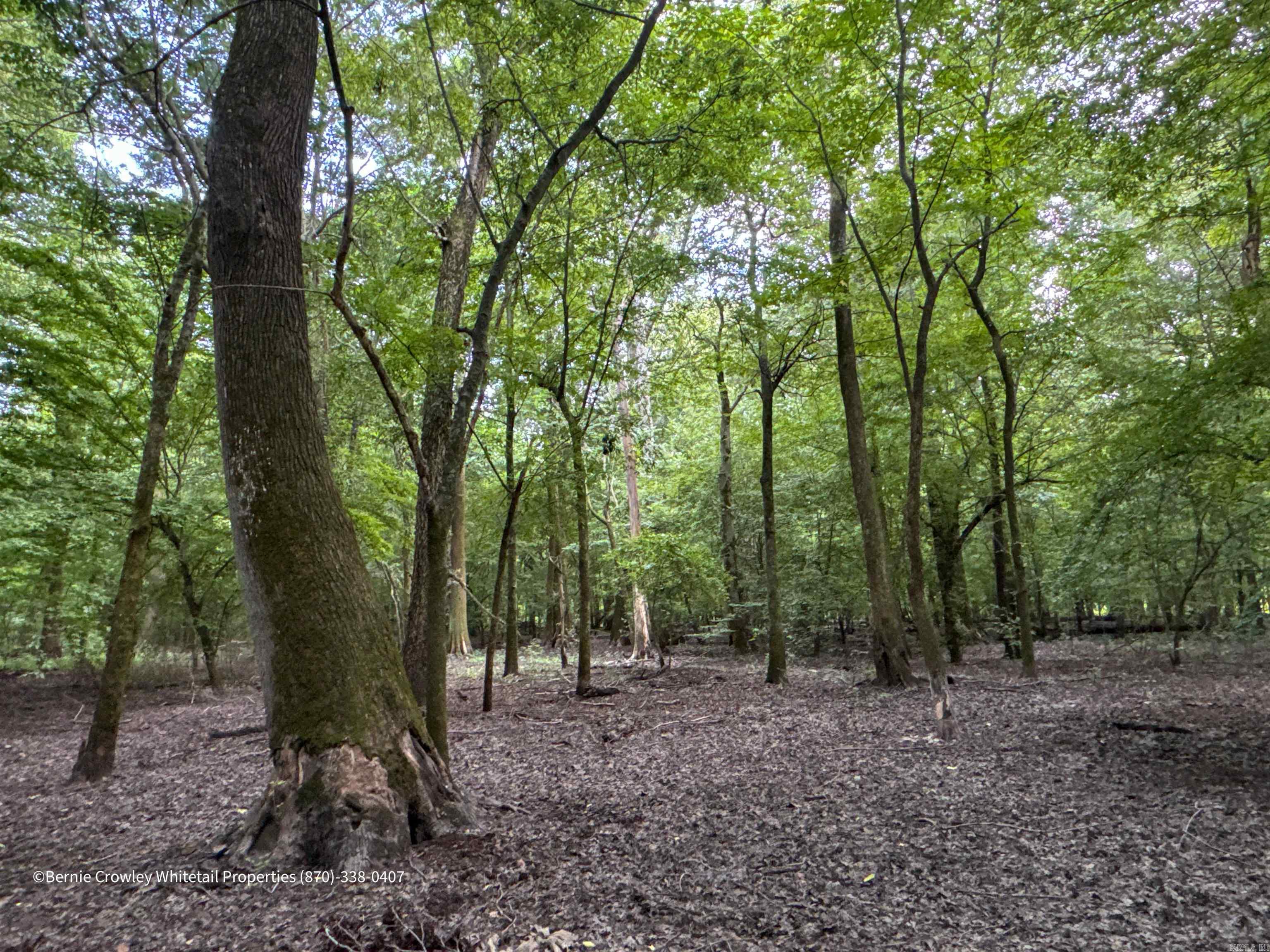 Metes & Bounds - Land