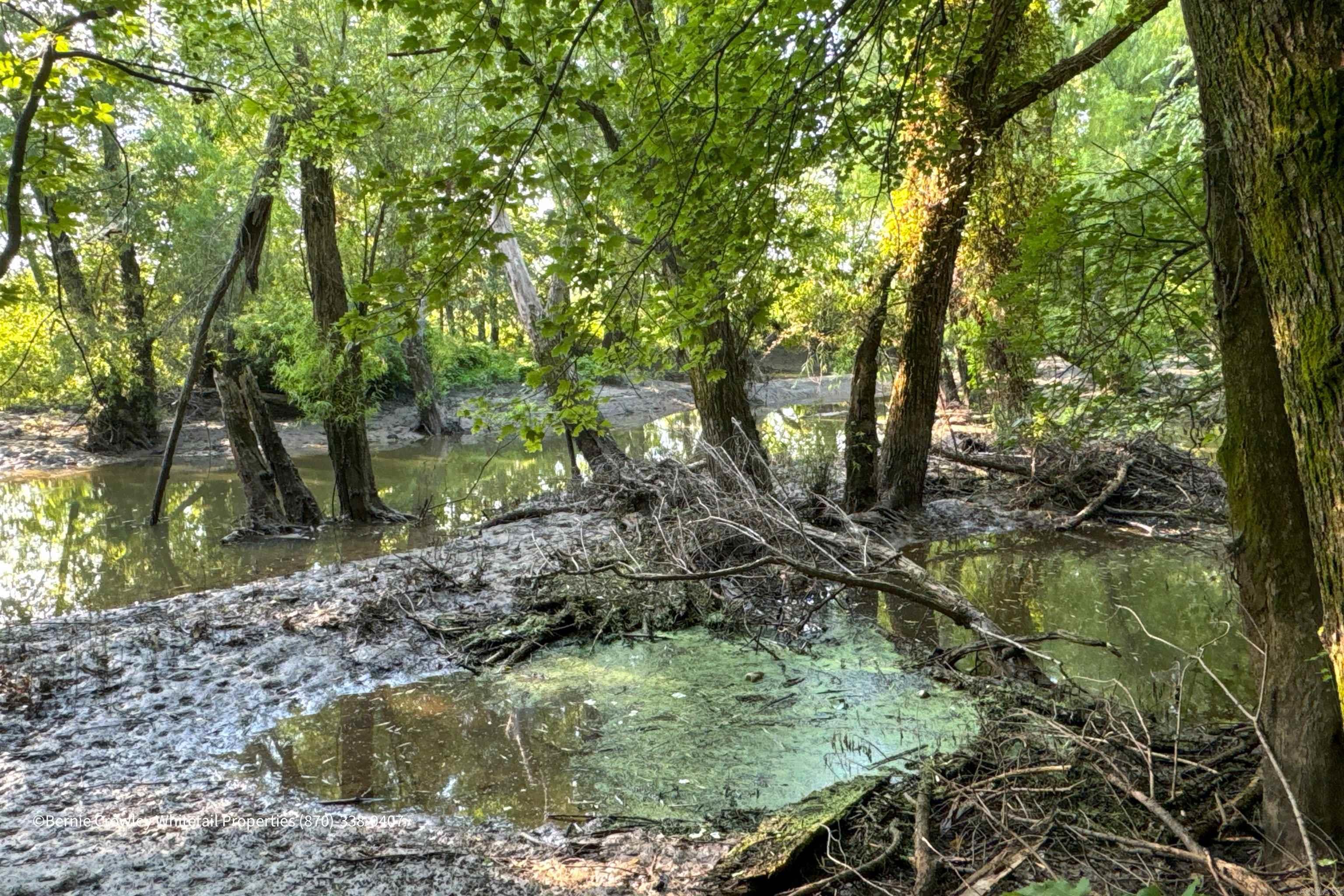 Metes & Bounds - Land