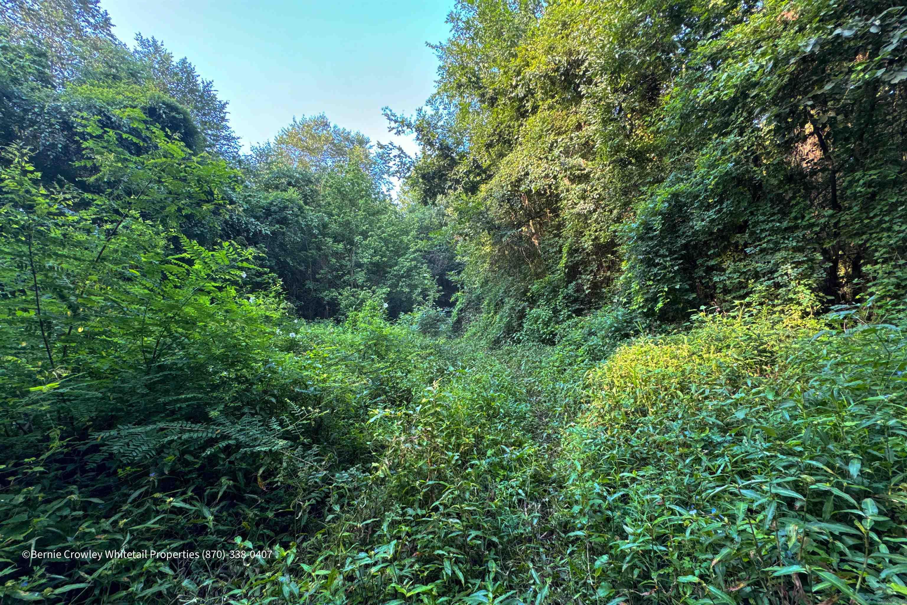 Metes & Bounds - Land