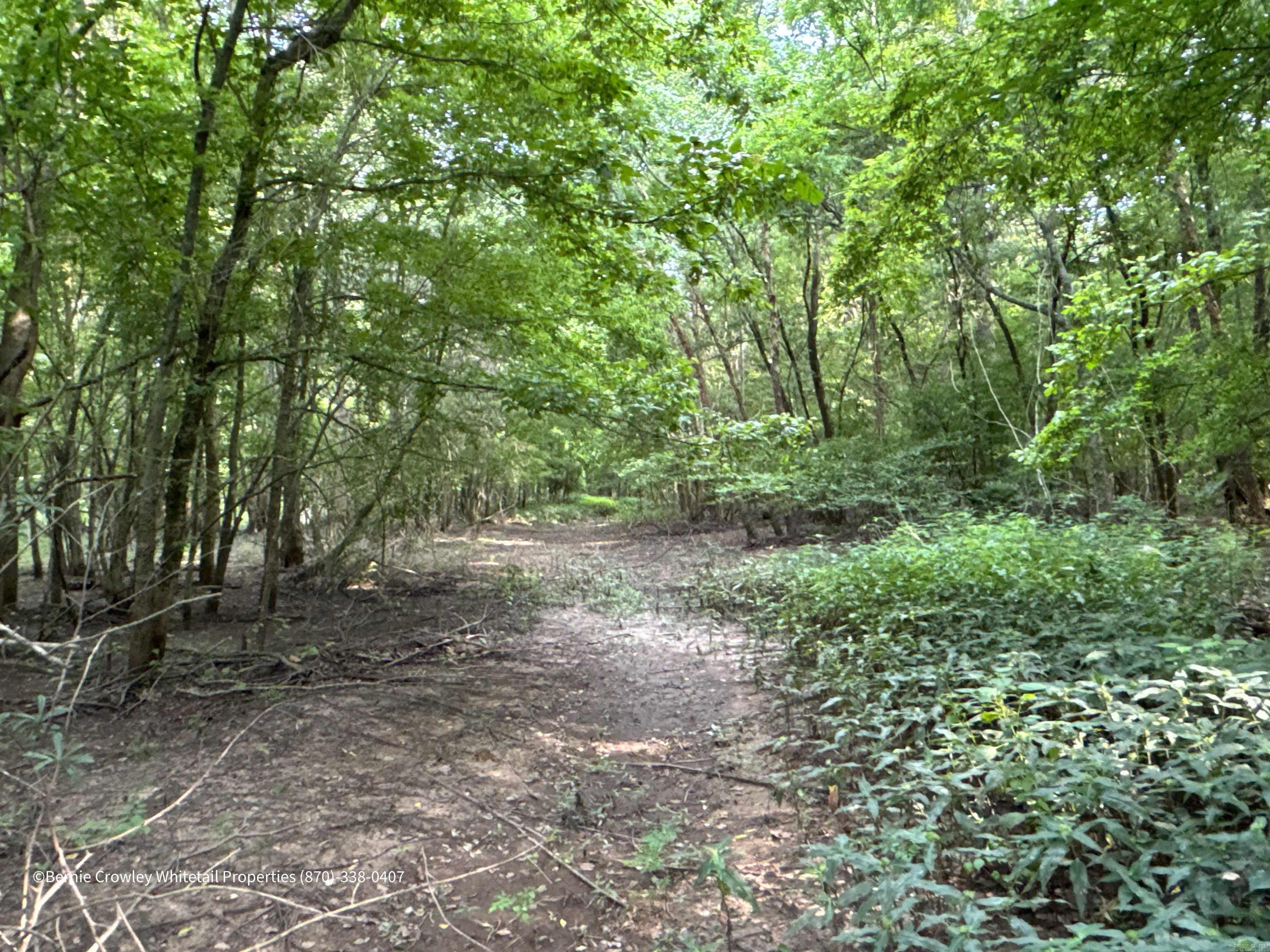 Metes & Bounds - Land