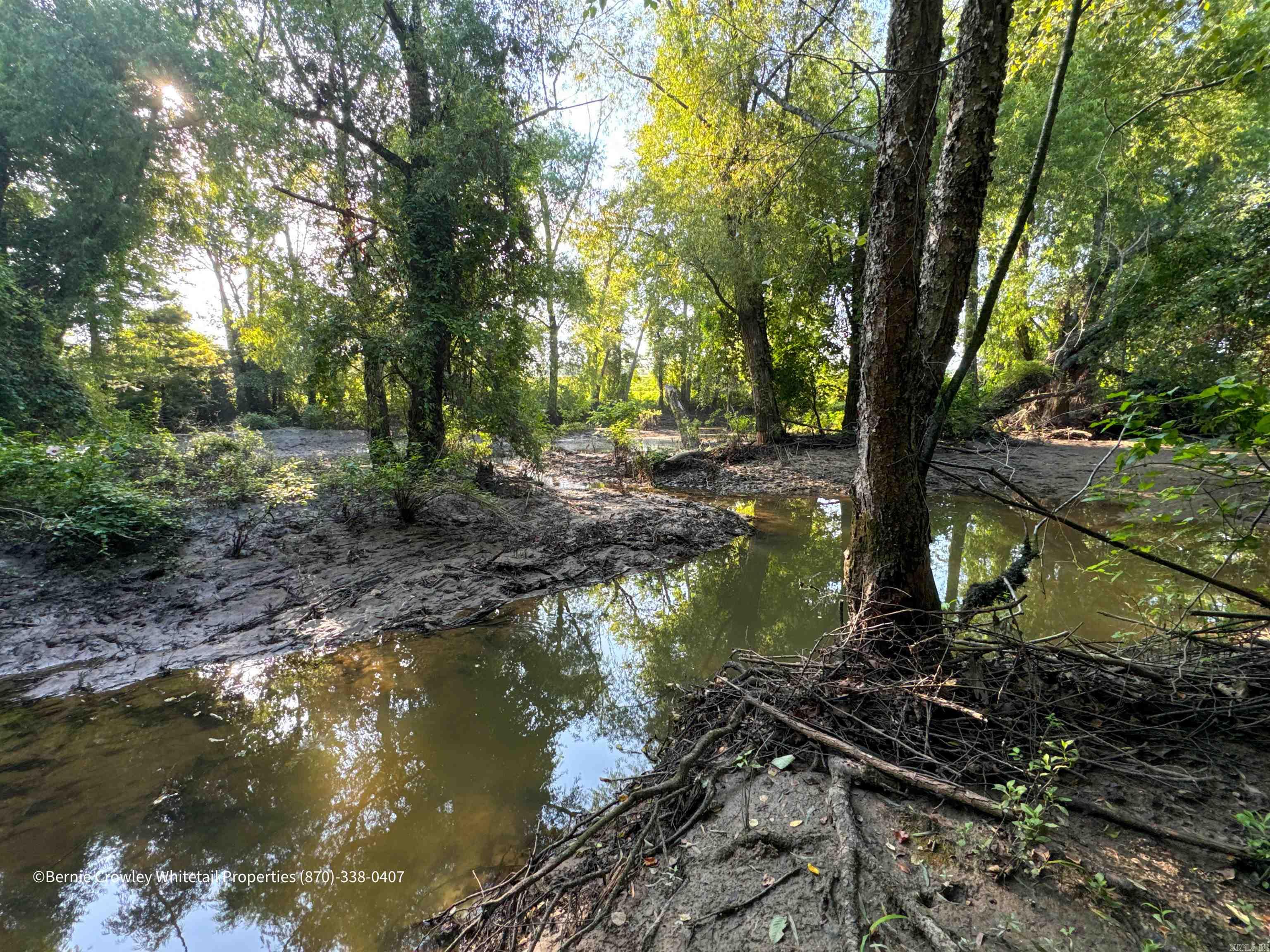 Metes & Bounds - Land