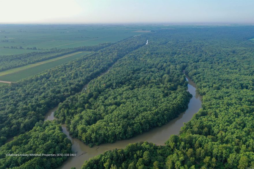 Flooding Timber is located on the St. Francis River in Northeast Craighead County, AR.  Easy access from Jonesboro, Paragould, Kennet, or Blytheville, makes this an excellent recreational investment without a long drive.  Northeast Arkansas flooded timber is a hot commodity, and this is an opportunity to own this rare resource.     Few ducking hunting waters are as sought after as the St. Francis River.  Flooding Timber offers access to two large ditches (here a “ditch” is often more like a creek elsewhere), the main river channel, and various smaller internal ditches and ponds.  As part of the St. Francis River flood plain, the property offers timber that will flood at various water levels providing opportunities for hunting holes that work in a multitude of conditions.  The mix of bodies of water in this tight package allows for hunting in various conditions.  The property features one older duck blind located on the largest ditch.  This property includes portions of two islands and a generous portion of levee bank.  As such, there are multiple locations to hunt deer throughout this property.  The deer herd is evident here with tracts dotting the landscape. Browse is abundant and