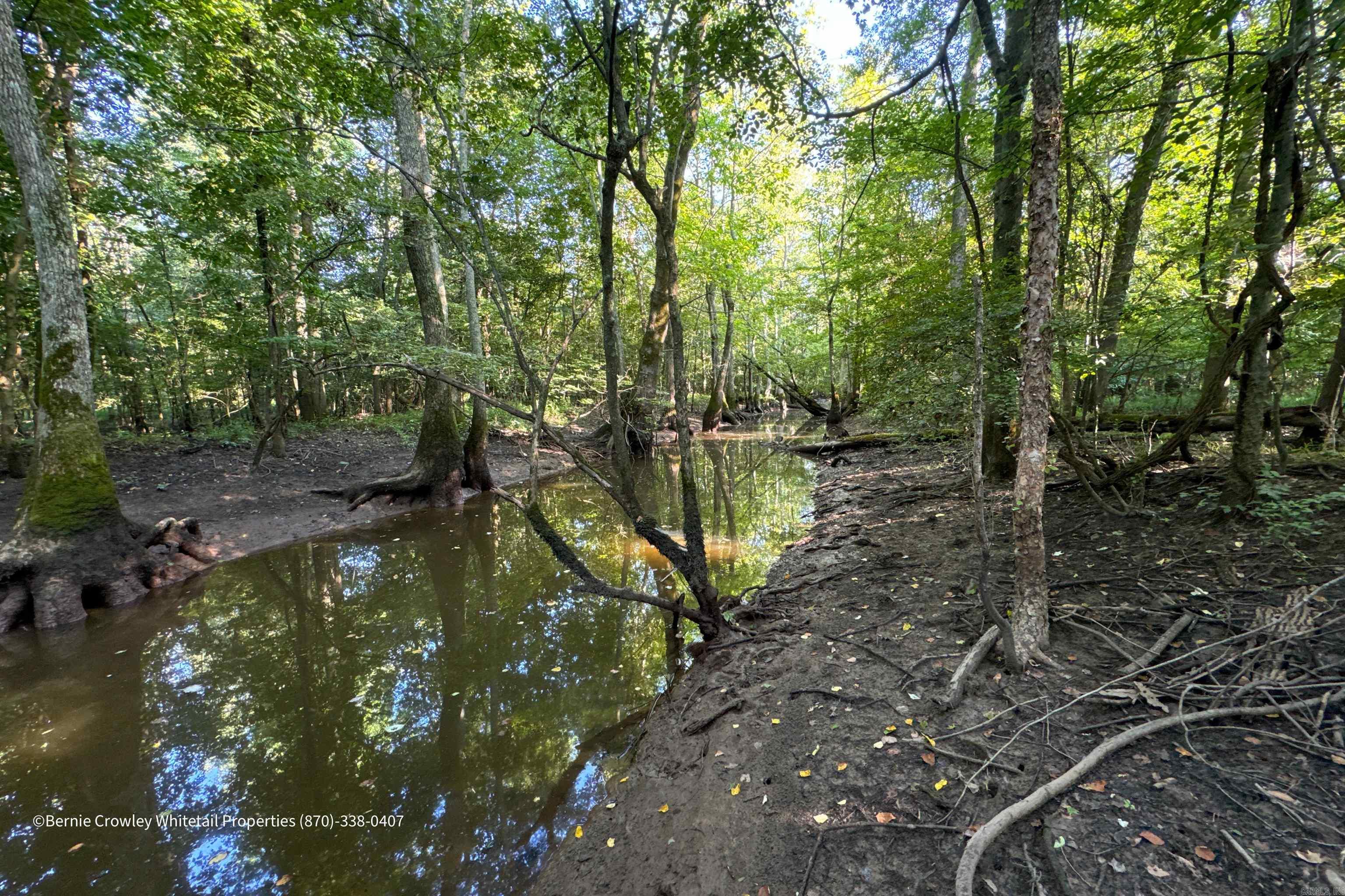 Metes & Bounds - Land