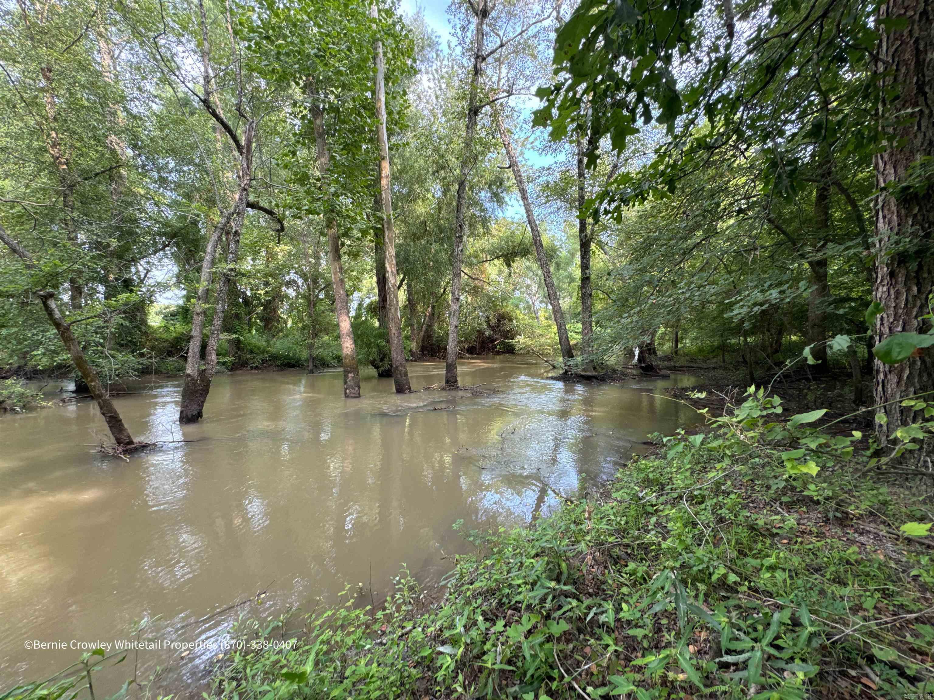 Metes & Bounds - Land