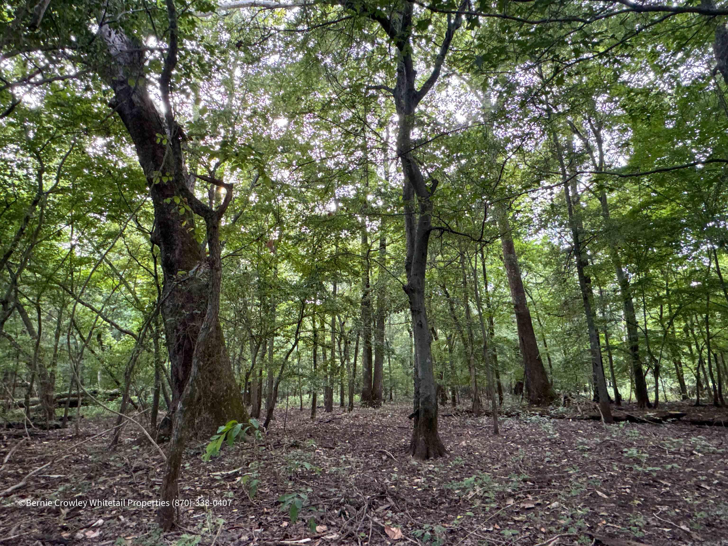 Metes & Bounds - Land