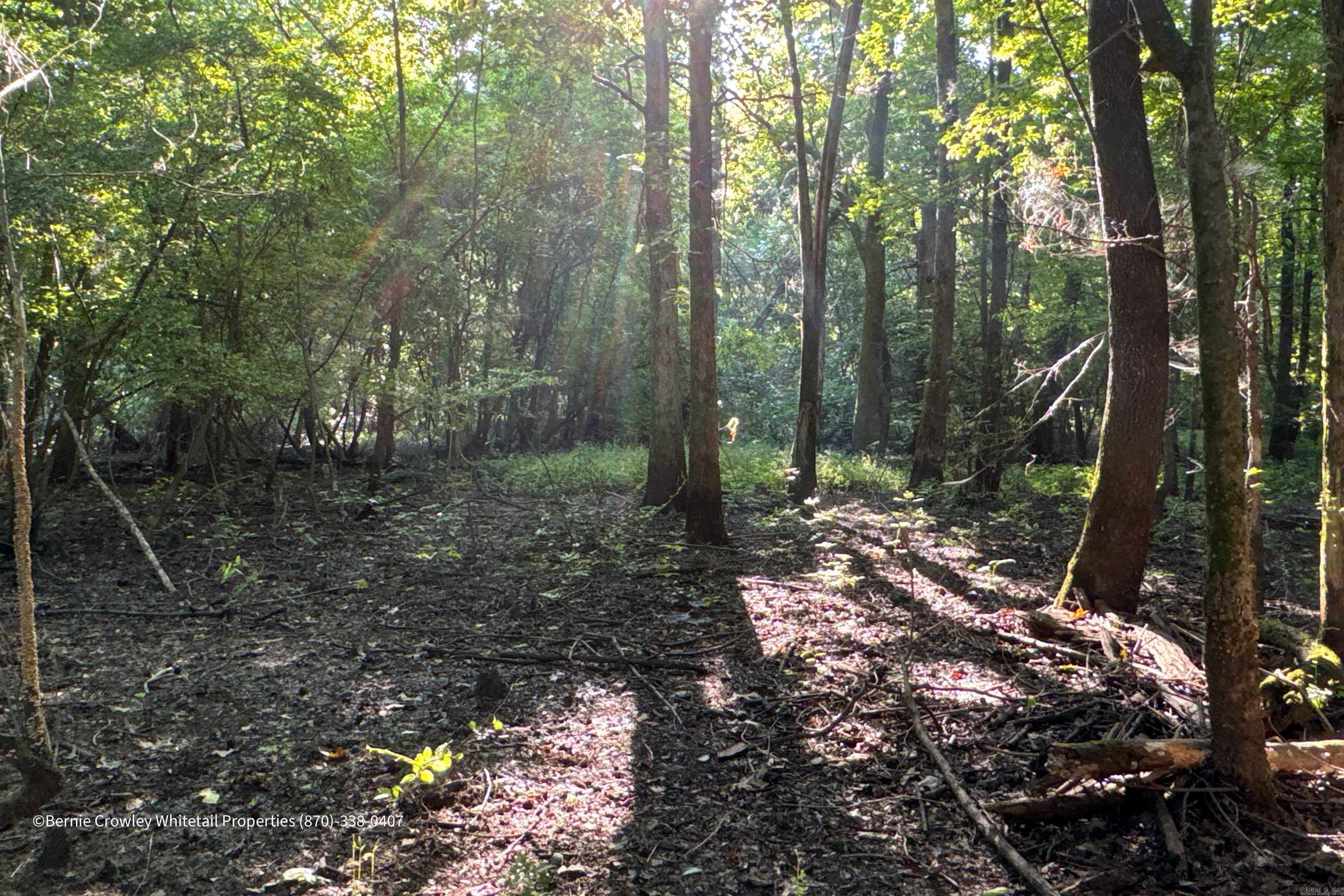 Metes & Bounds - Land