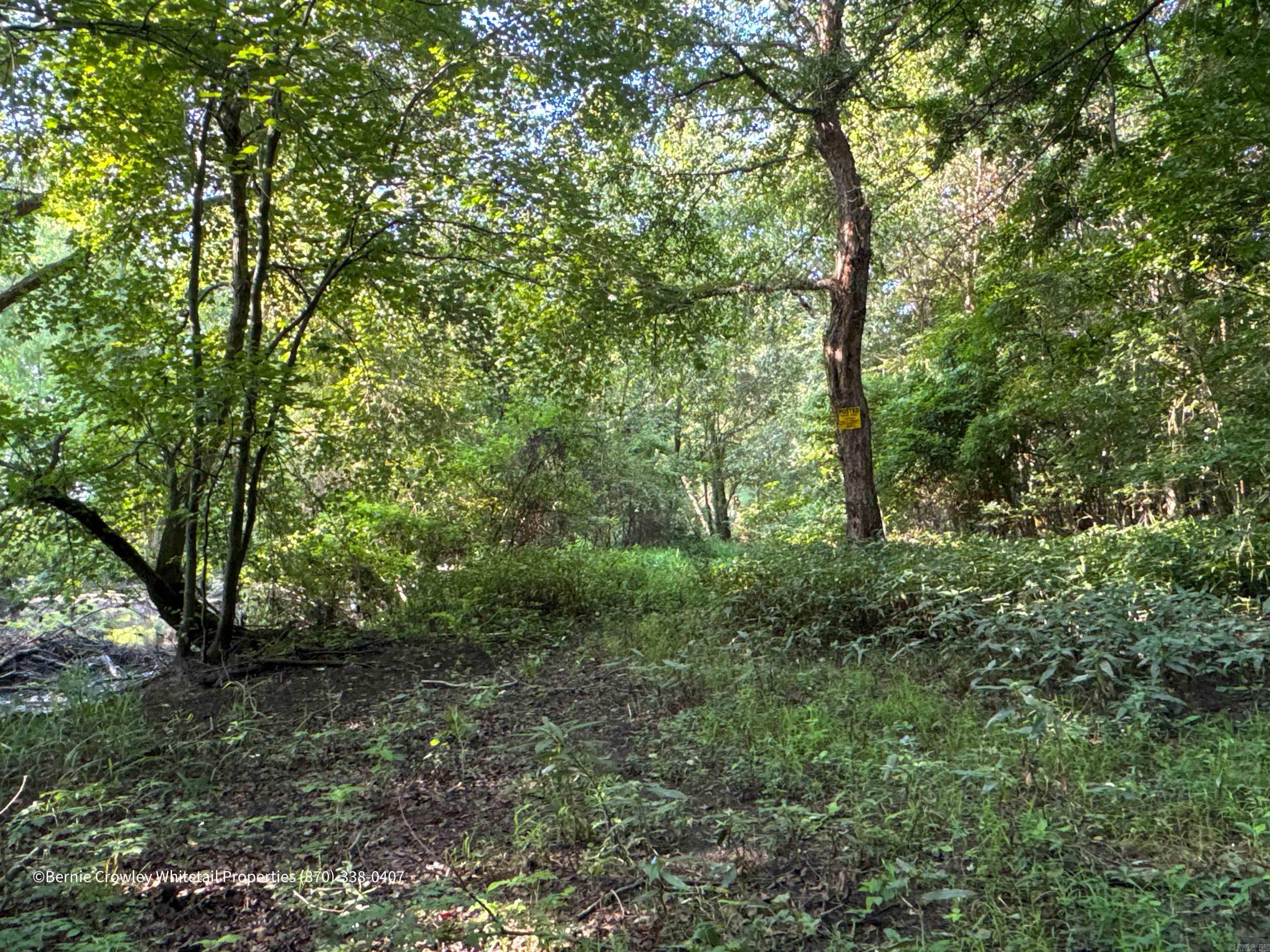 Metes & Bounds - Land