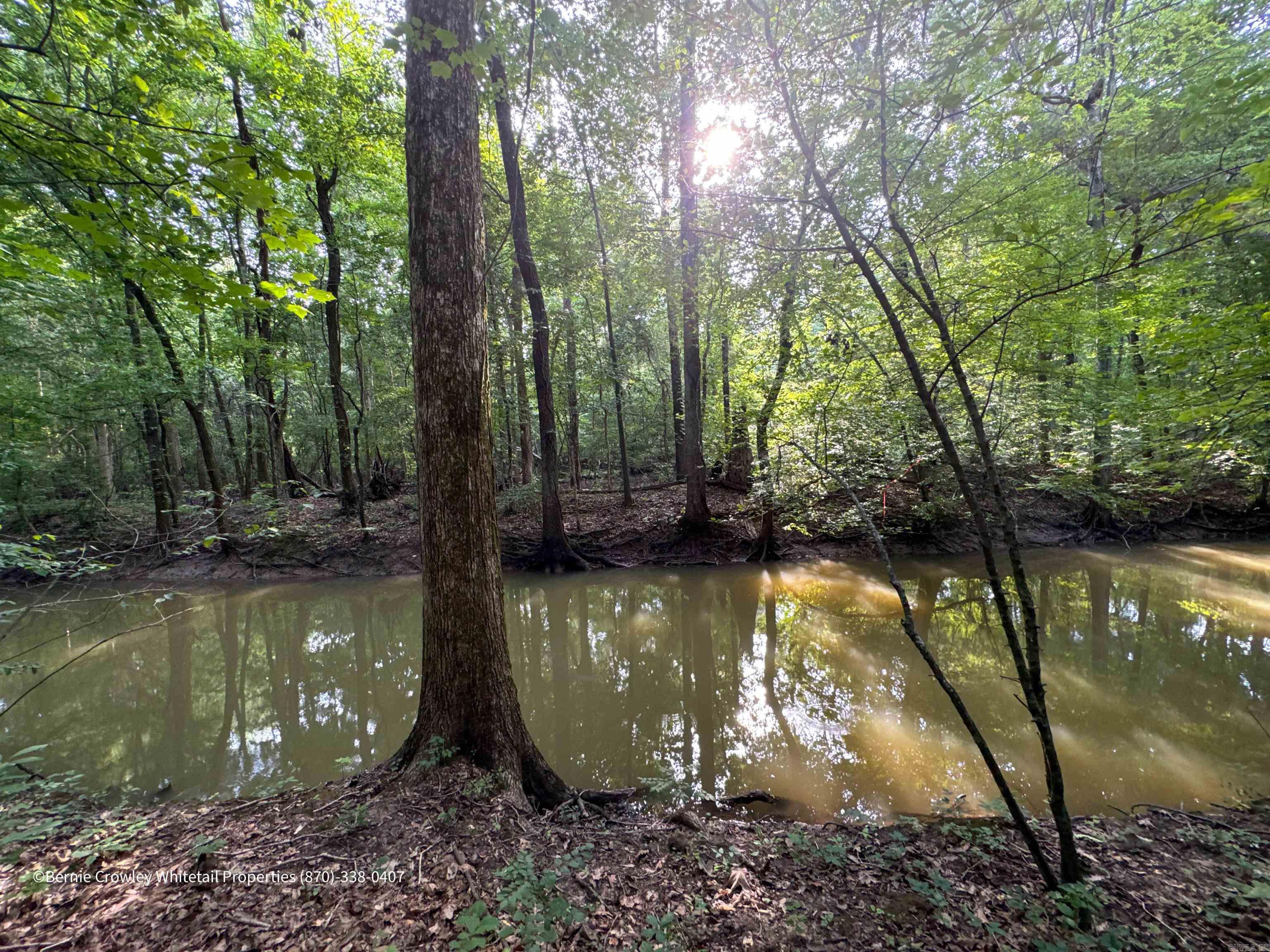 Metes & Bounds - Land