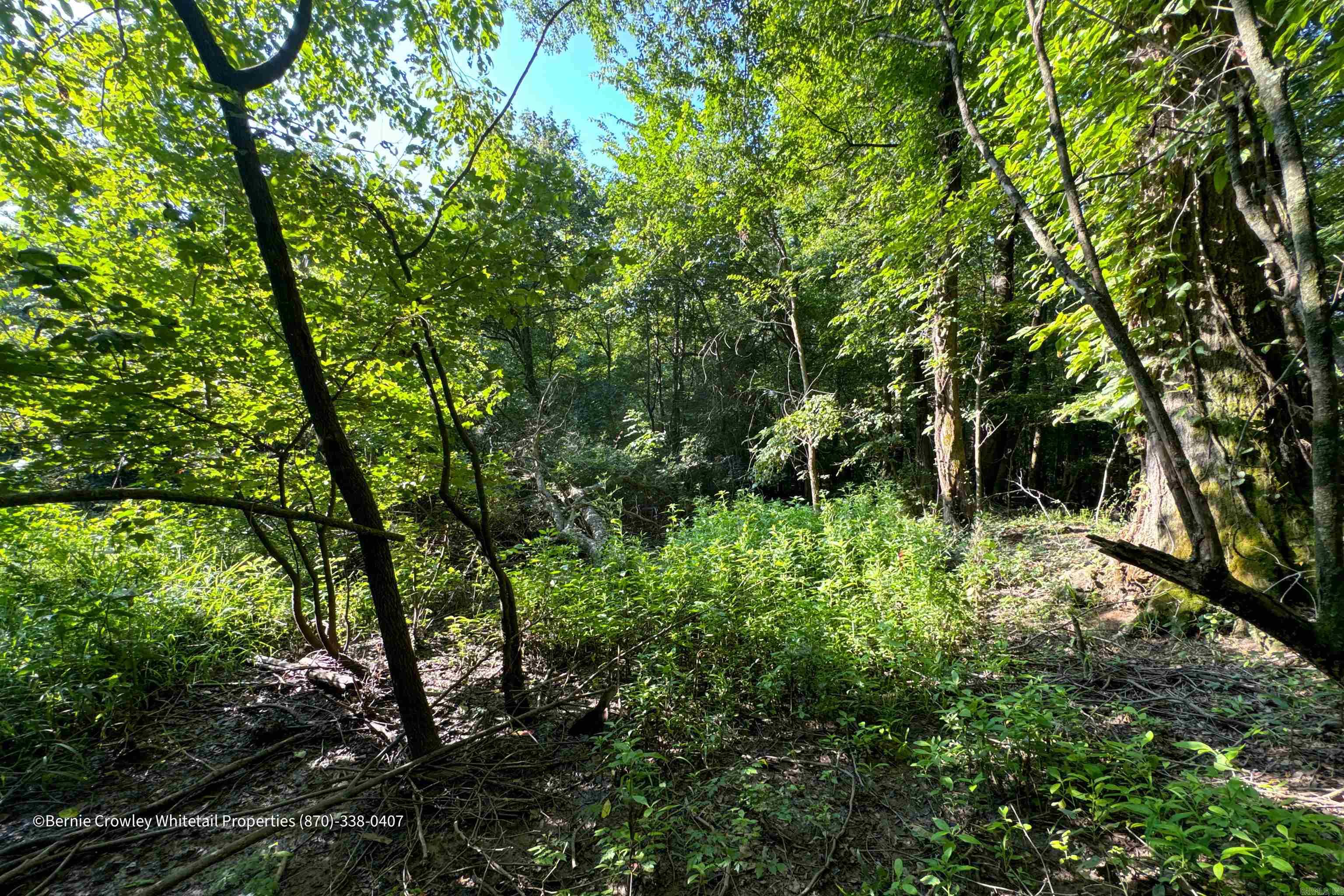 Metes & Bounds - Land