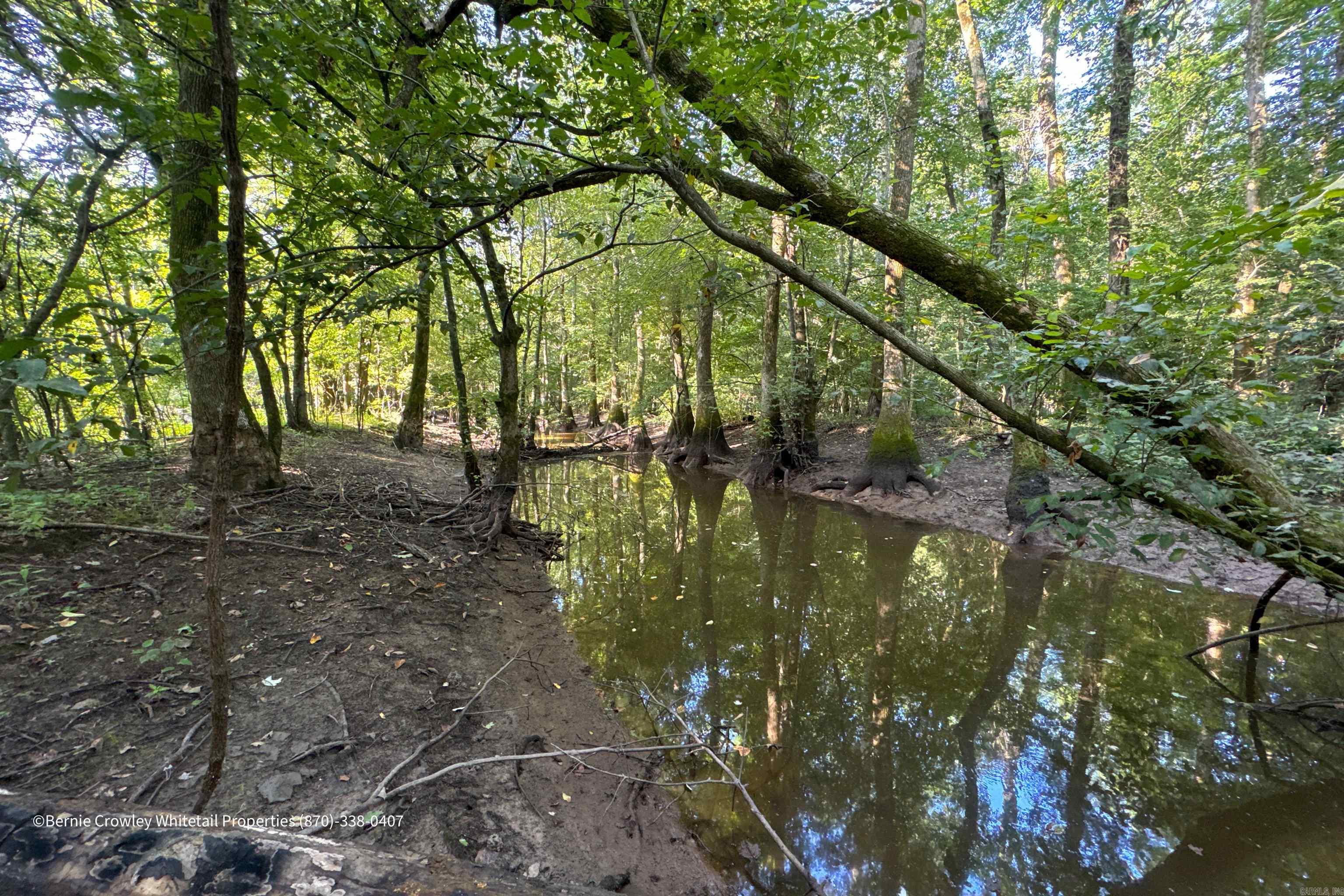 Metes & Bounds - Land