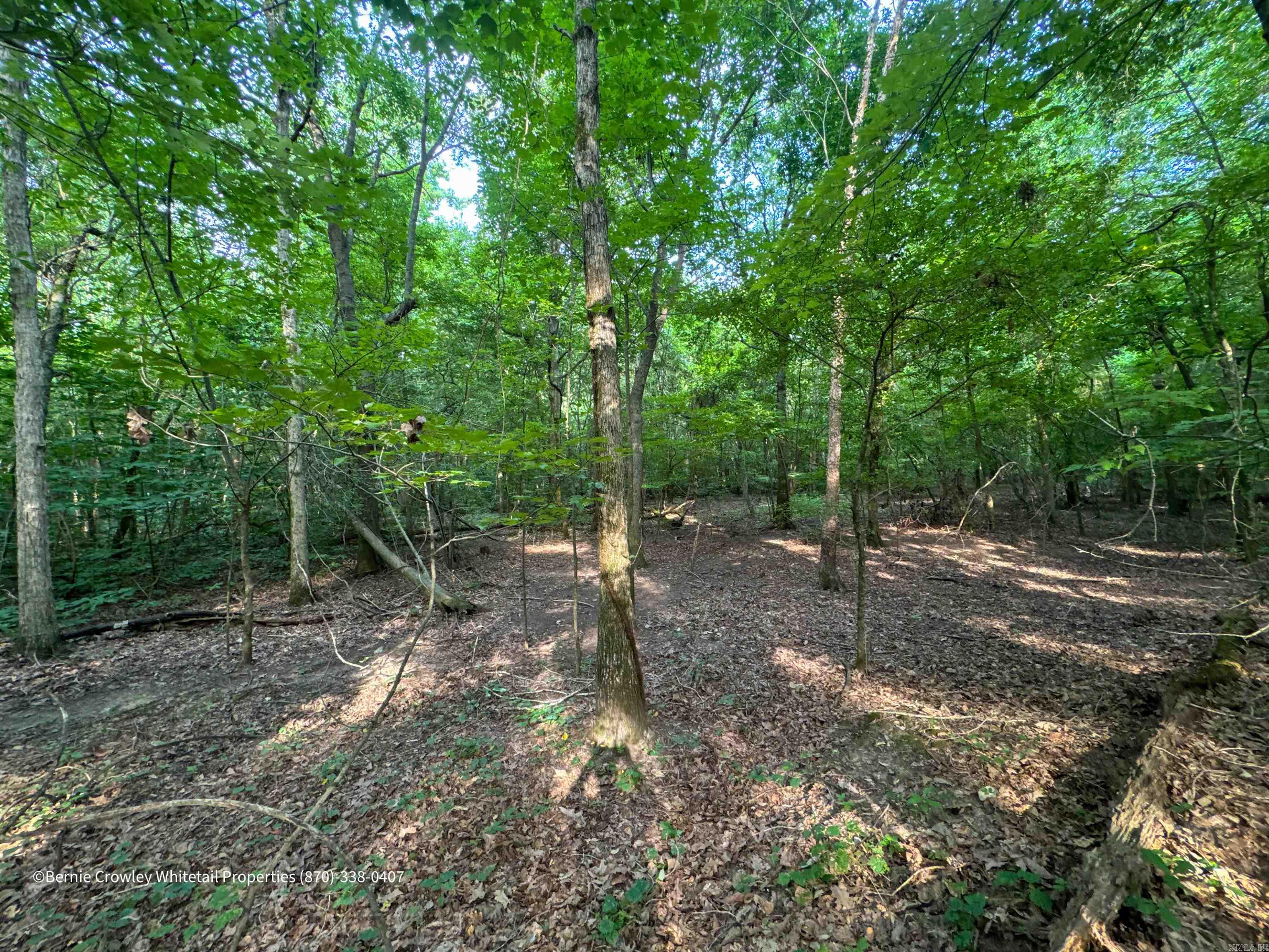 Metes & Bounds - Land