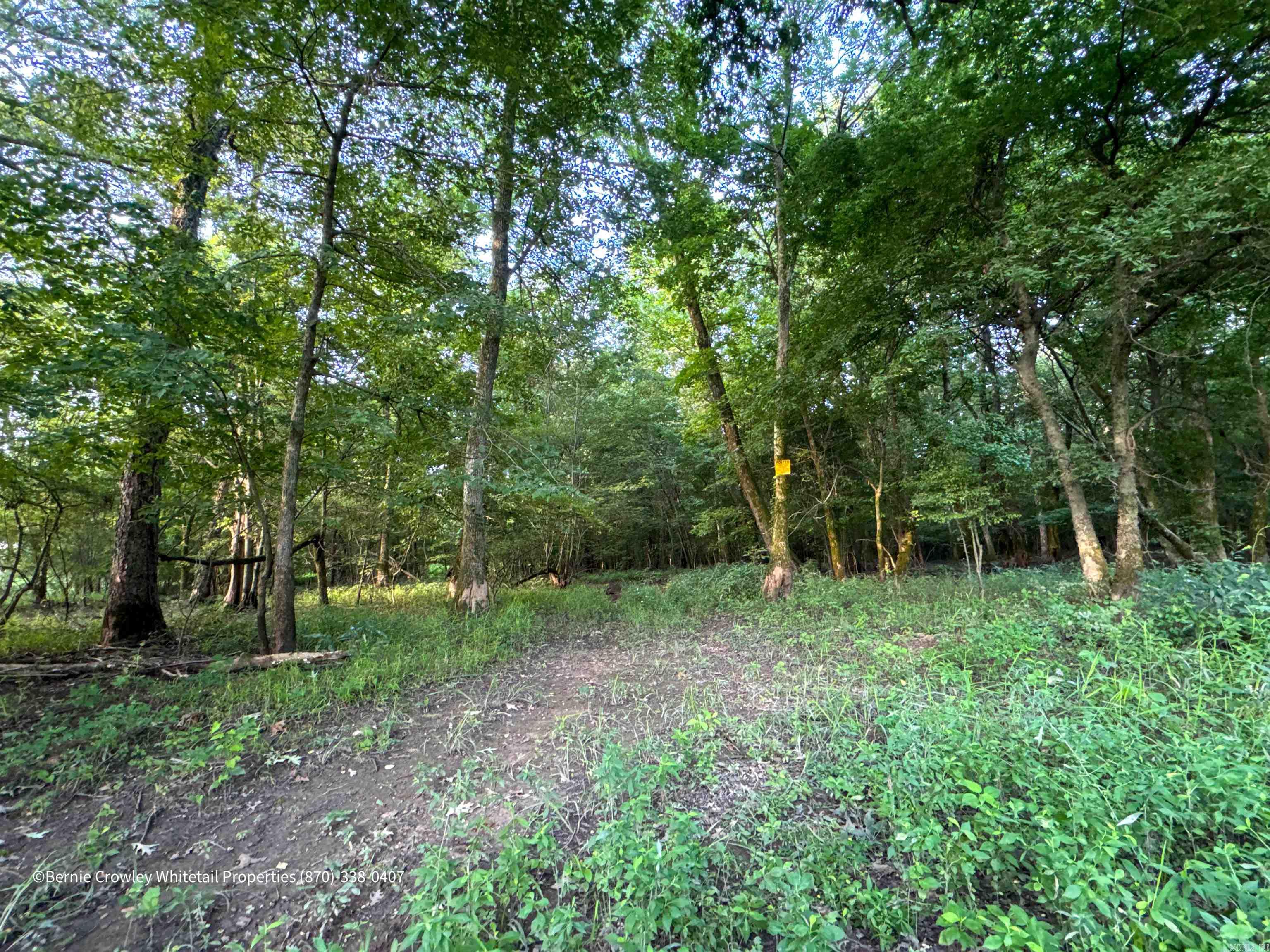 Metes & Bounds - Land