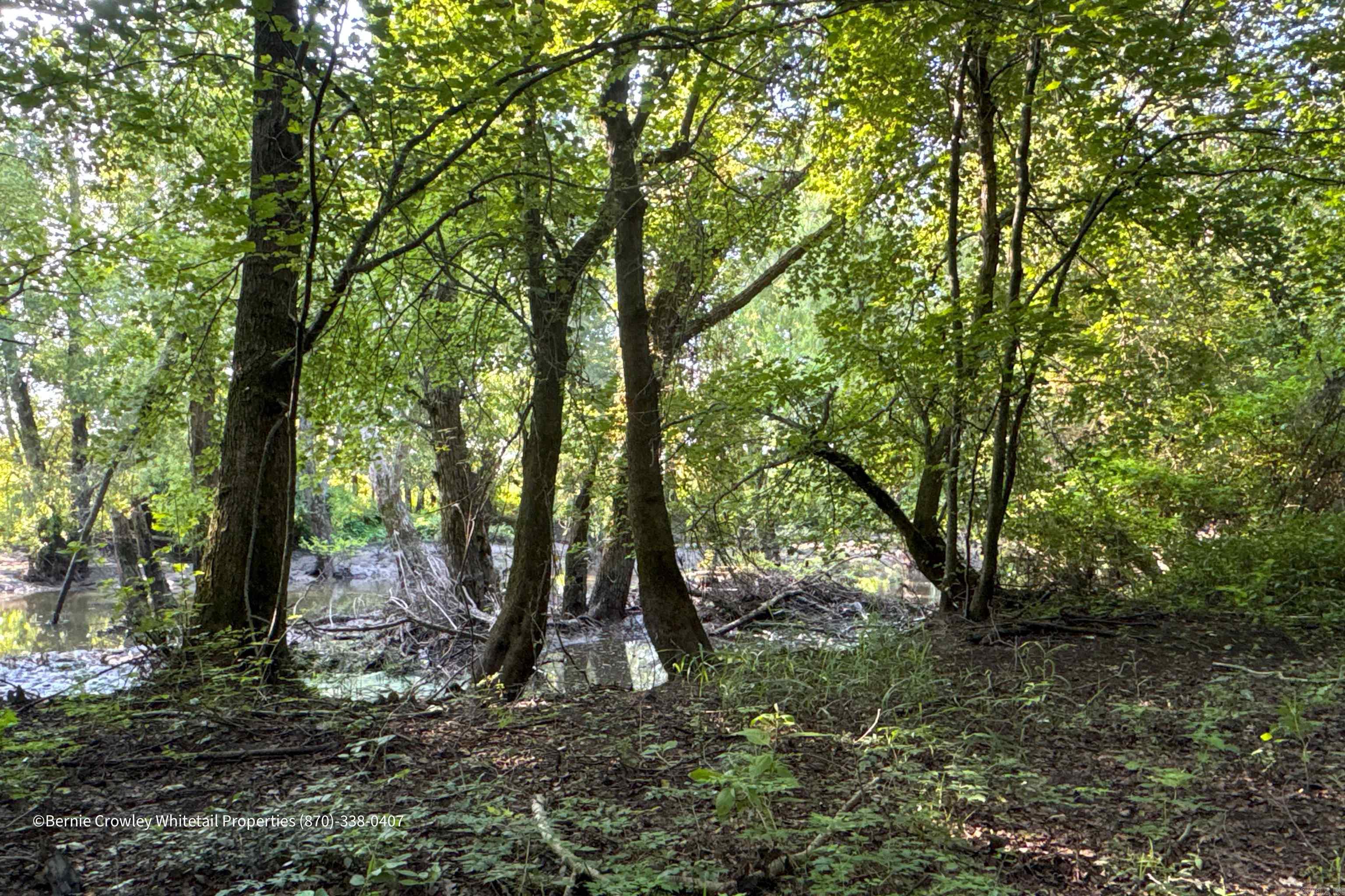 Metes & Bounds - Land