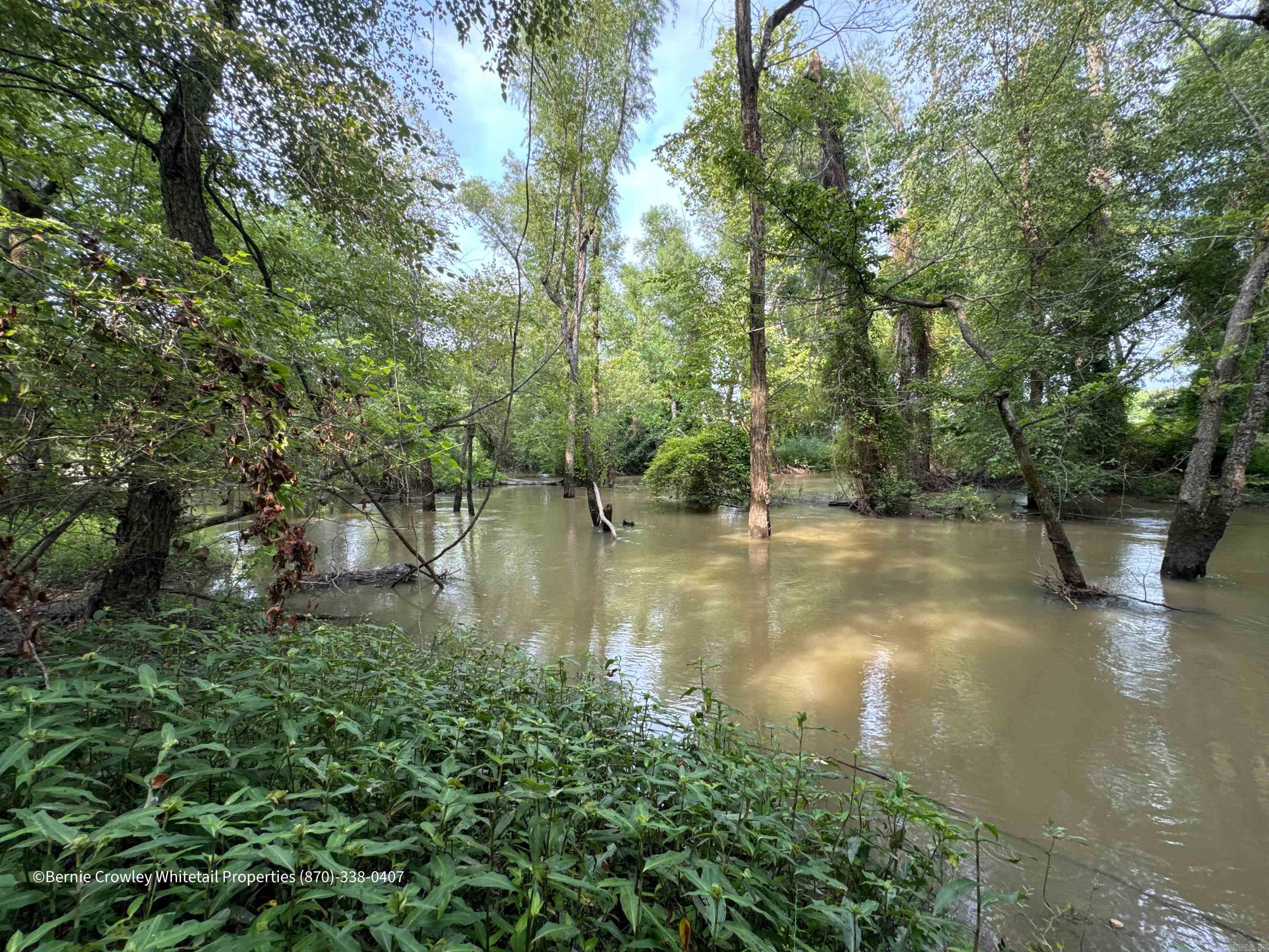 Metes & Bounds - Land