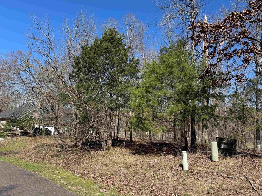 Beautiful Diamante Golf Course Lot .43 Acres  Sits high overlooking The Pond at #7 and #8 Tee Box. Perfect for a walk-out and a deck to enjoy the great scenery and wild life.  With 179 Feet of Golf Course frontage, this lot would definitely be a PERFECT location for your next home!  Diamante GOLD Membership includes unlimited driving range, tennis, pickle ball, golf and swimming pool.  Plus year round social activities.  The last few pictures are of our" Diamond in the Rough"  - - - Hot Springs Village, AR with its' 26,000 acres of GATED COMMUNITY! That includes 11 Lakes, 9.5 golf courses, 30+ miles of hiking trails, new outdoor pool, indoor pool, fitness and spa.  Come See.