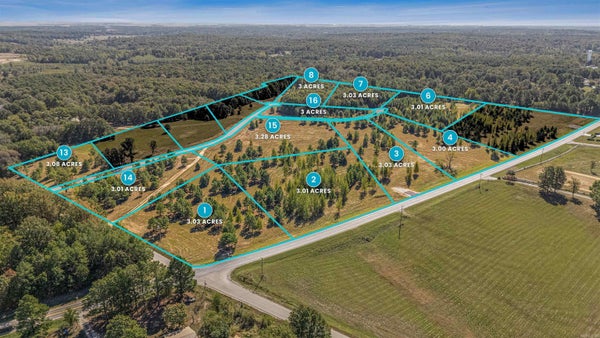 104 FINCH ESTATES DRIVE, PARAGOULD, AR 72450 - Image ef4ffa84cadd8b59fb19a87dbc332a00/3960289131