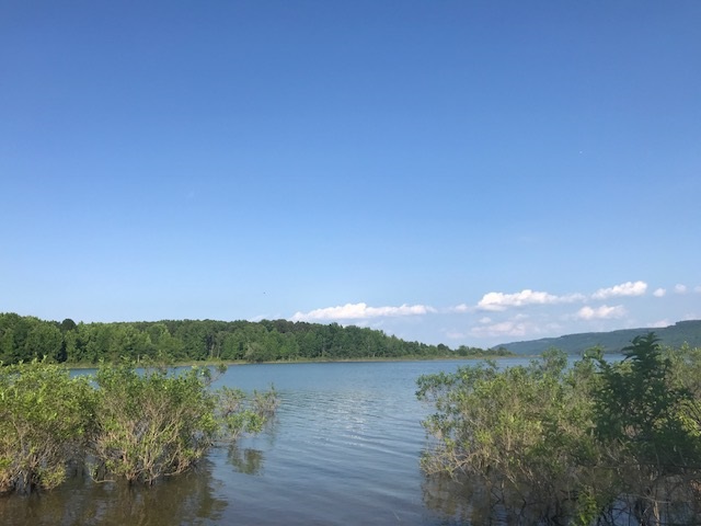 TIMBER LAKE - Residential