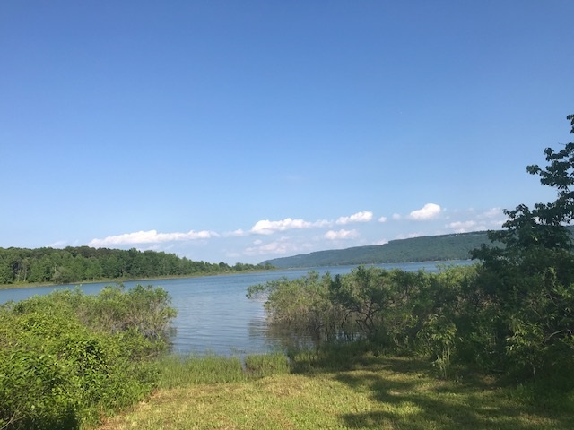 TIMBER LAKE - Residential