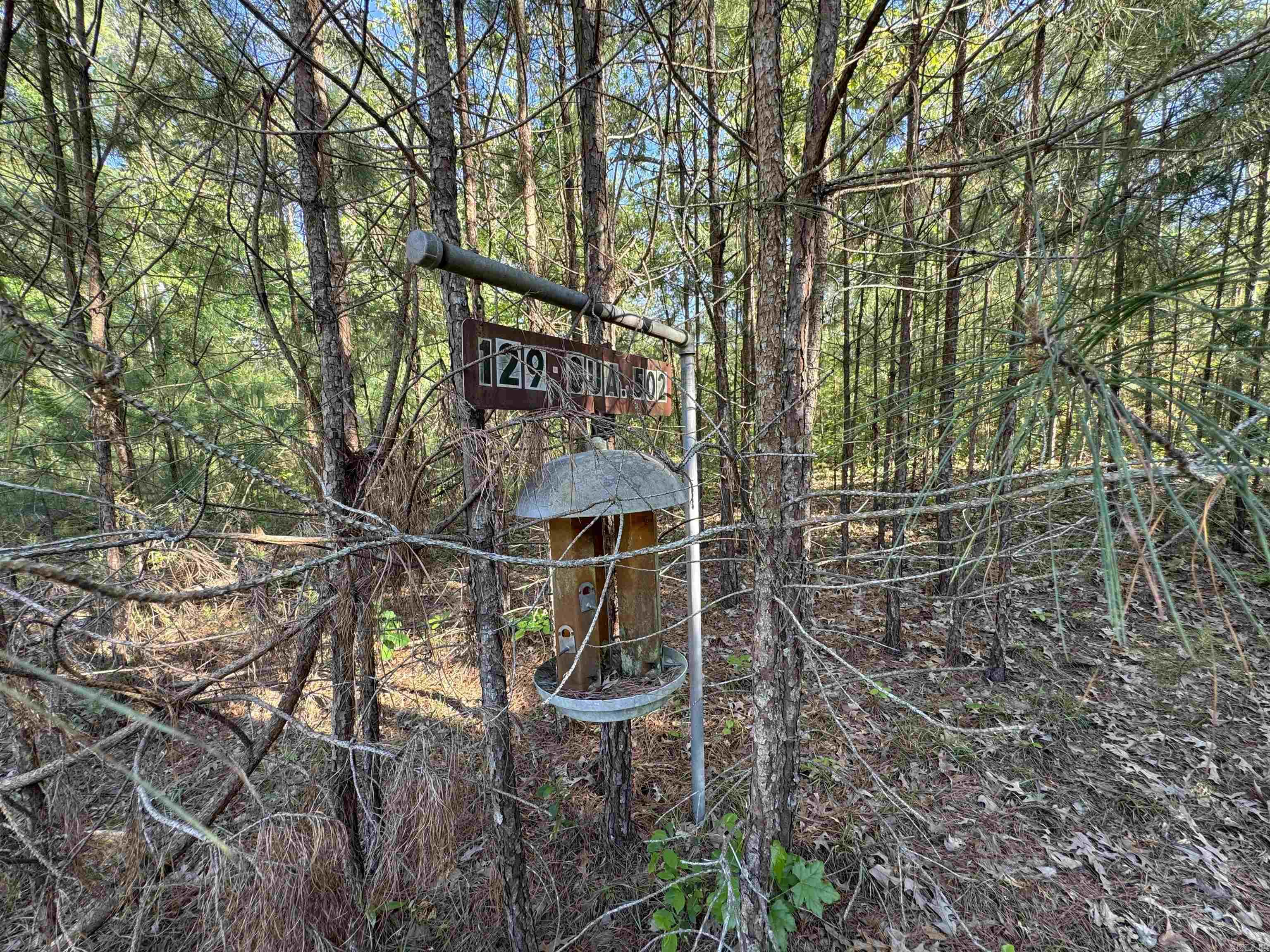 SLAUGHTER (NEIL) SD - Land